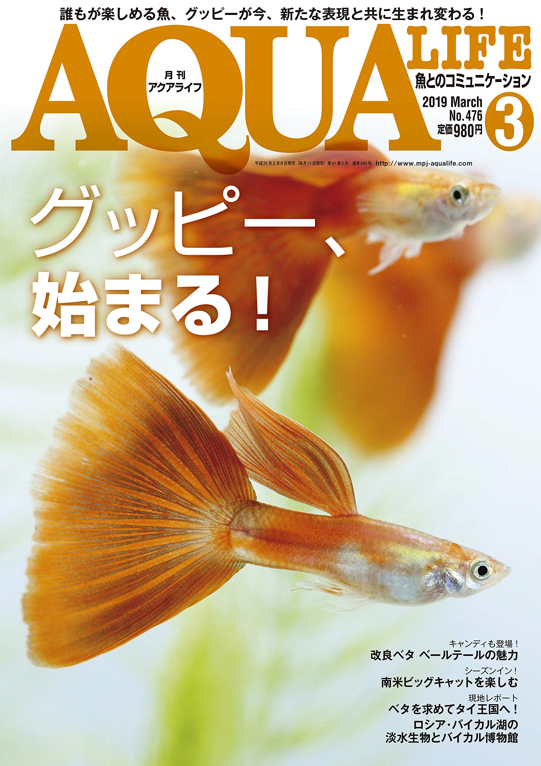Amazon.co.jp: 月刊アクアライフ 2019年03月号 グッピー、始まる