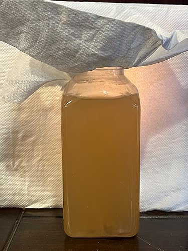 Generic Vinagre EEL Starter Culture Alimento vivo para bettas recién nacidos, carneros, pez muelle