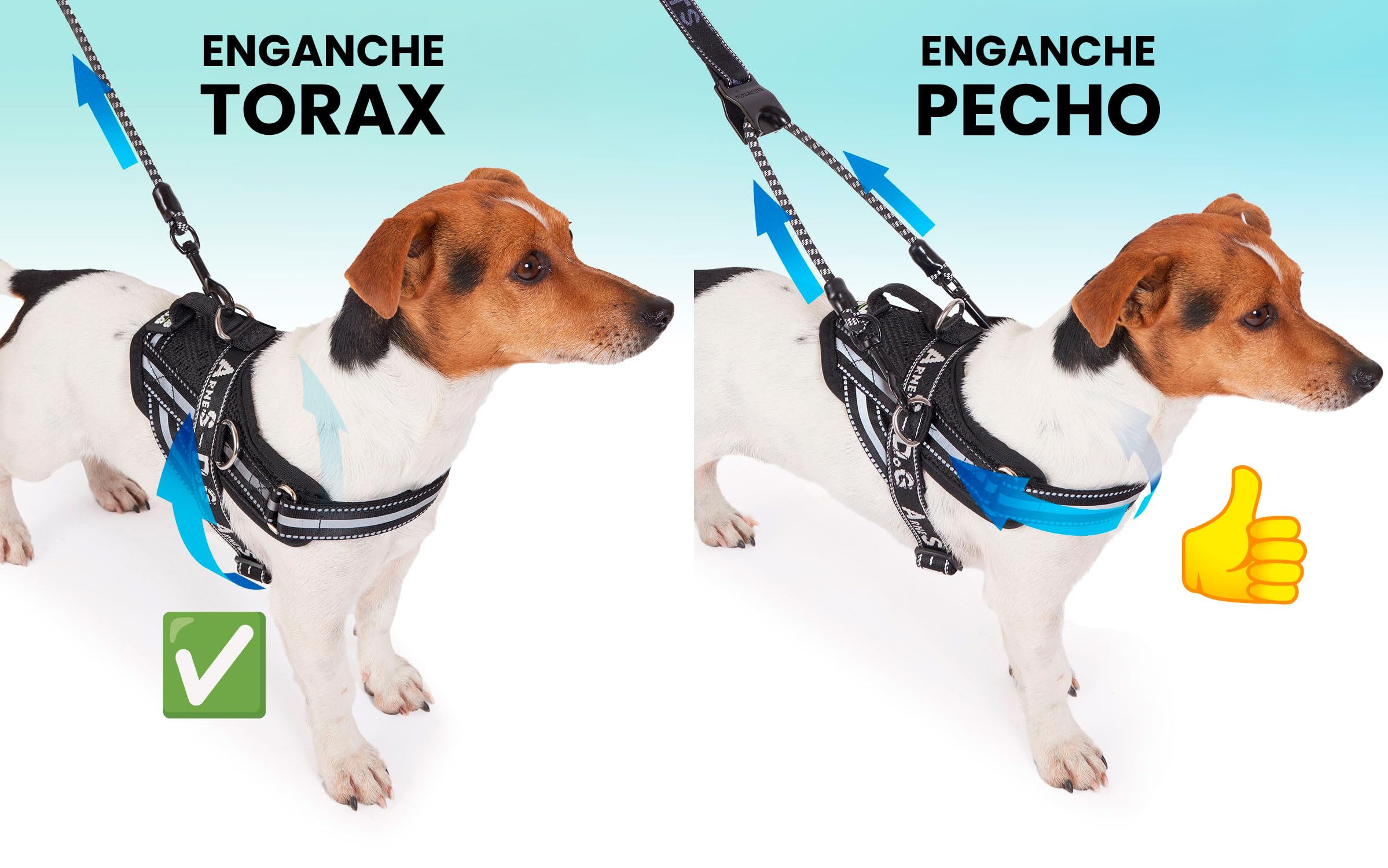 Arnés y Correa para Perro ACARAPETS - Arnés con 3 Anillas, Acolchado y Transpirable con Correa Bífida Elástica, Reflectante, Ajustable, para Caminar y Correr. (Negro, XL con Correa)