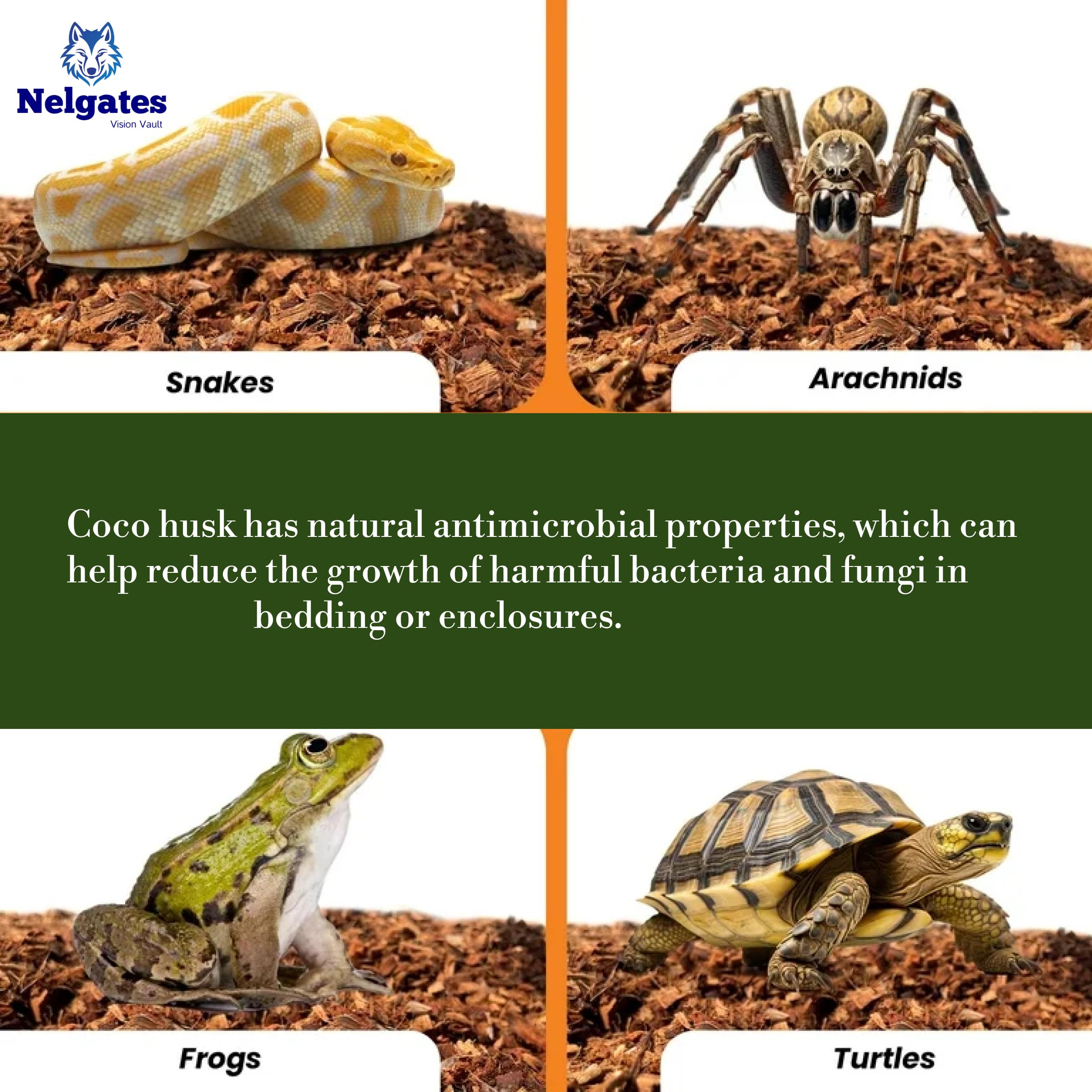 Nelgates Coconut Husk for Reptiles Bedding 650g Coco Coir Chips Terrarium Substrate for Ball Python Frog Snake Gecko Hermit Crab Tortoise 2