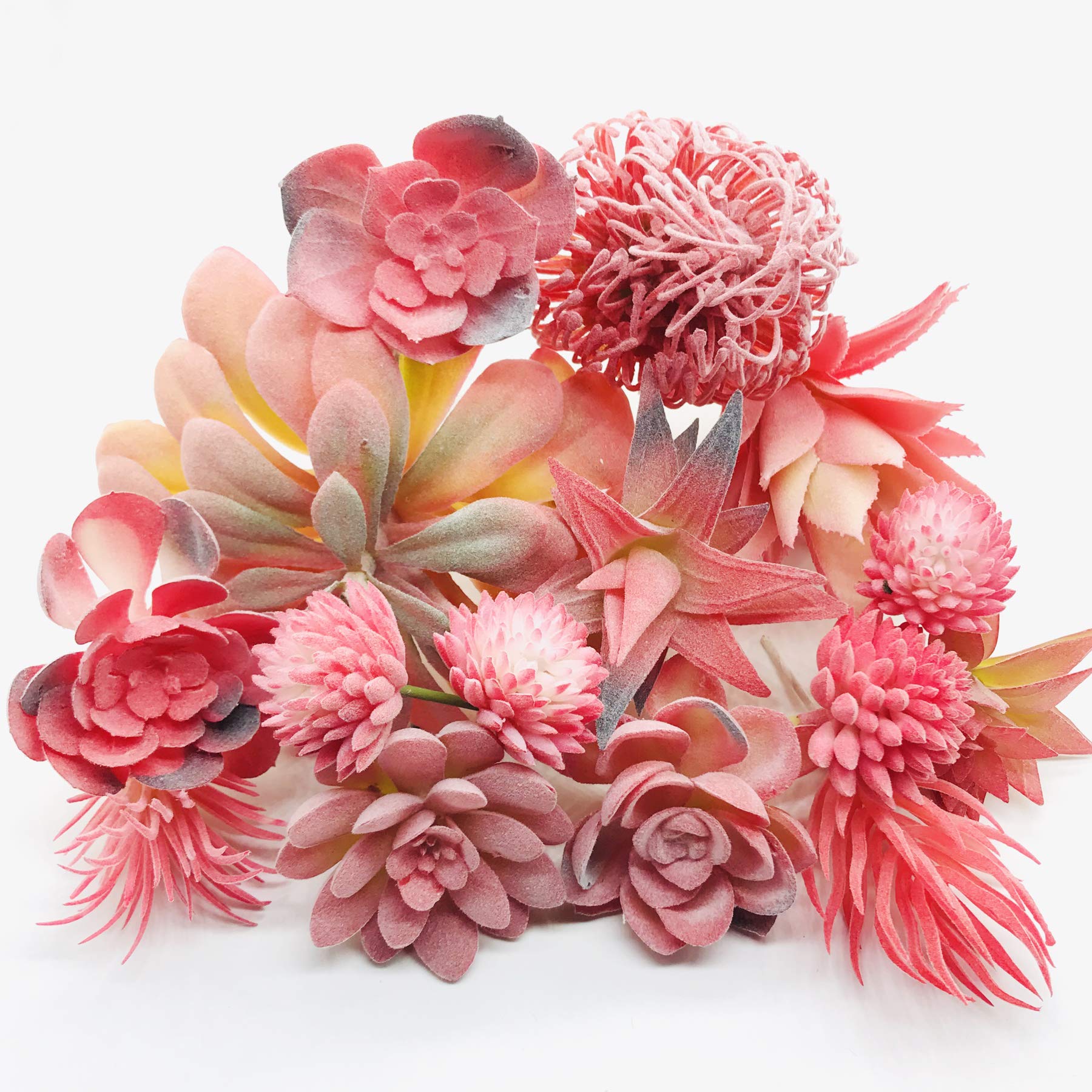 Amazon｜Cayway 人工多肉植物 12個 赤色フェイク多肉植物 鉢無し