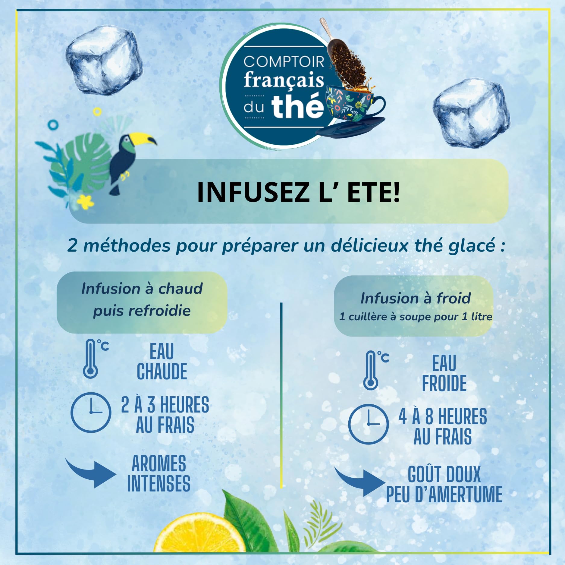 2x100g d'Infusion - Tilleul Menthe COMPTOIR FRANÇAIS DU THÉ | Notes de Tilleul et de Menthe - À déguster tout au long de la journée - Infusion en vrac, sachet zip refermable - thé de Noël