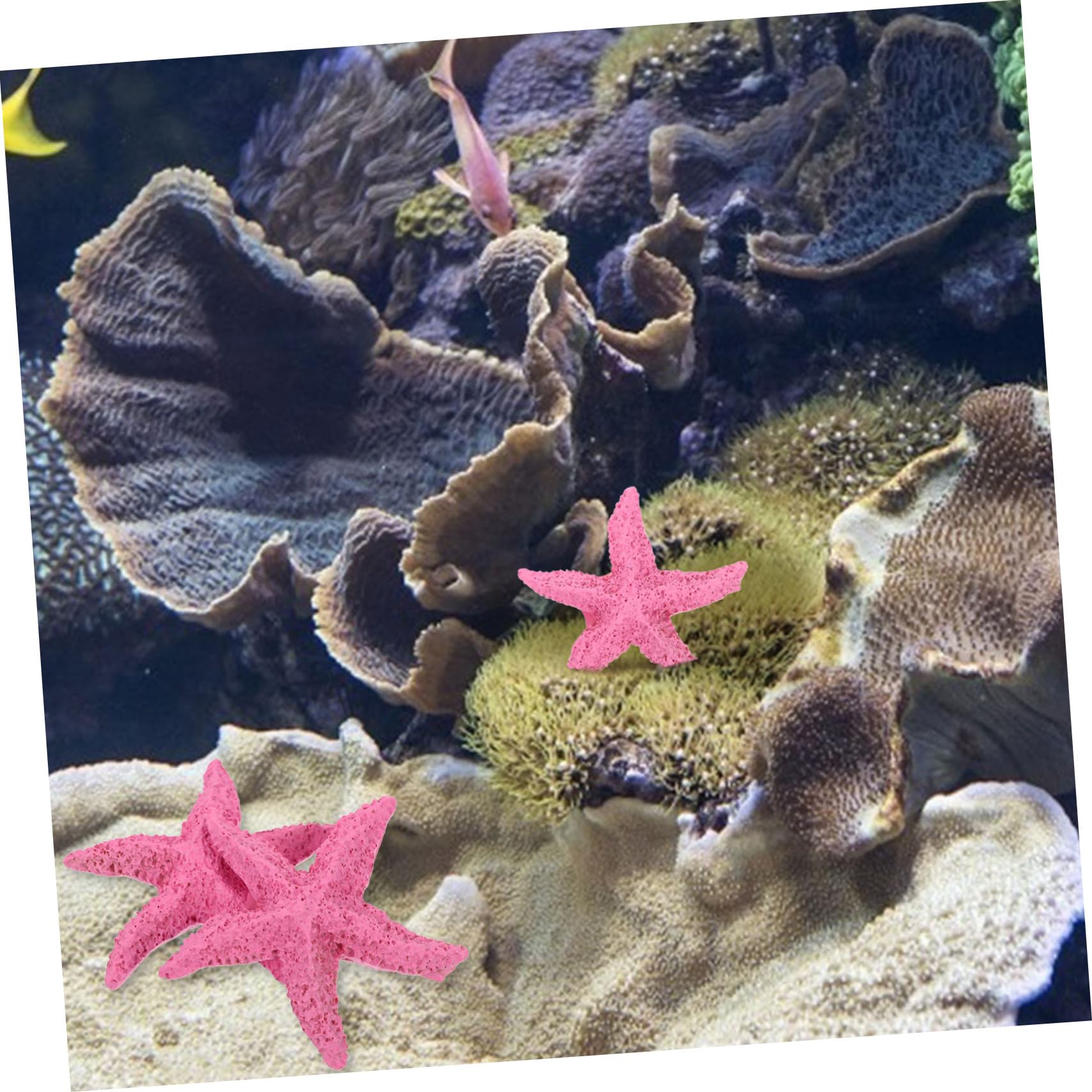 SEWOART Pink Decoration 2Pcs Resin Marine Ornaments for Fish Tank Aquarium Landscaping Home Decor, 7X7X1CM - Image 3