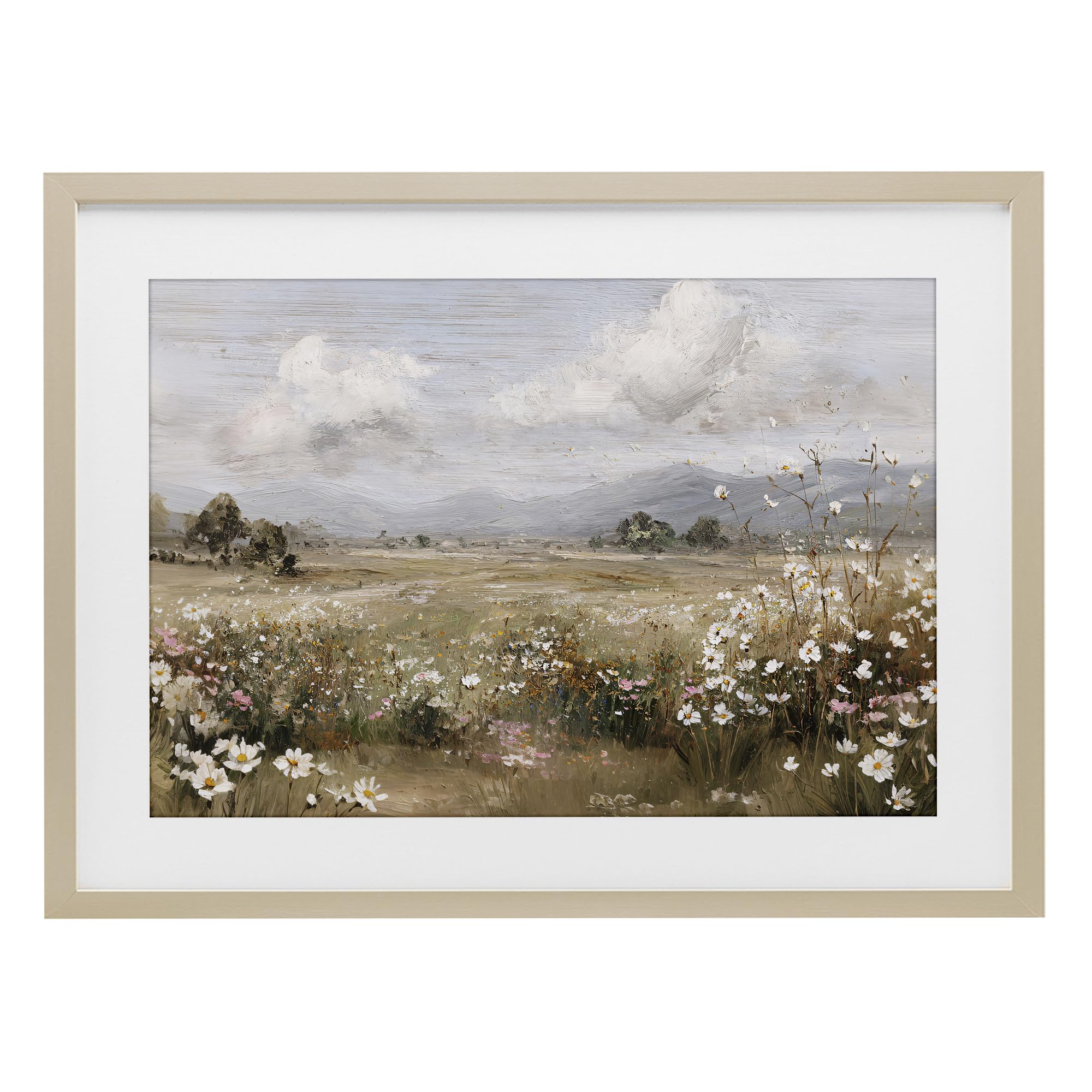 Stupell Industries 'Daisy Clusters in Field', Framed Print Under Glass, Brown, 23 x 17 Inches, Easy to Hang and Sturdy, Made in USA, by Jacky Ngan