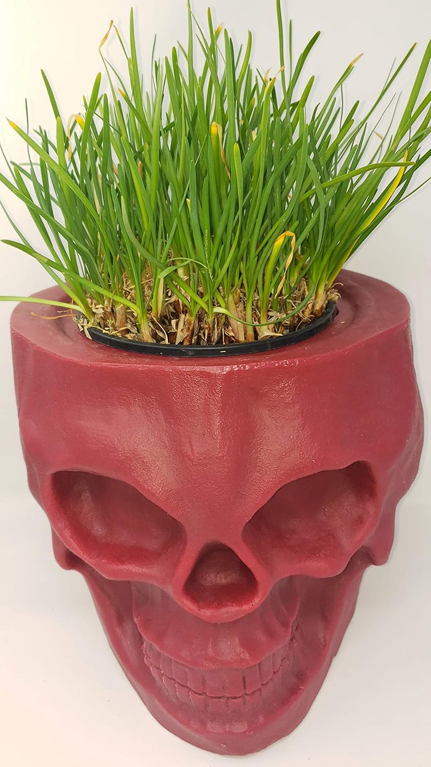 Skull Tiki Planter (Blood Red)