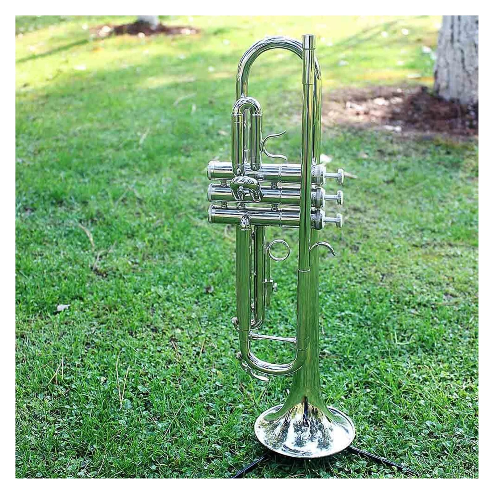 VSOLS Professionelle Trompete BB B Flat Messing Instrument Trompete mit Hülle Gurt Mundstück Musikinstrumentenzubehör (Color : Silver)