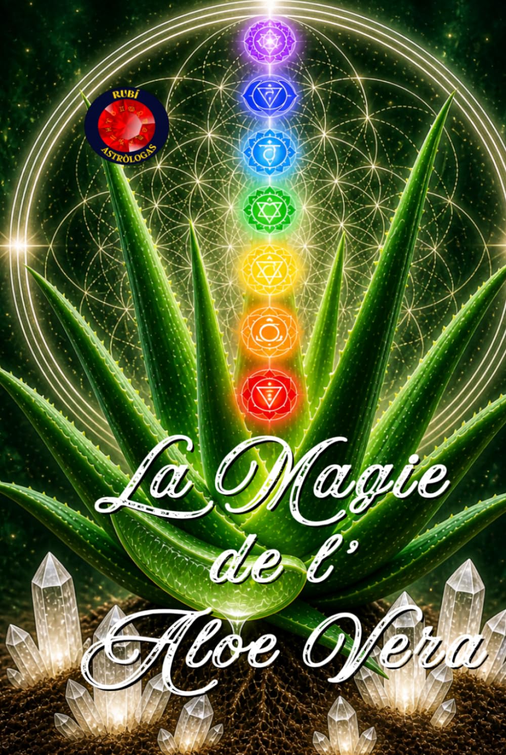 La Magie De l’Aloe Vera: Guérison, Régénération et Reprogrammation d'Énergie.