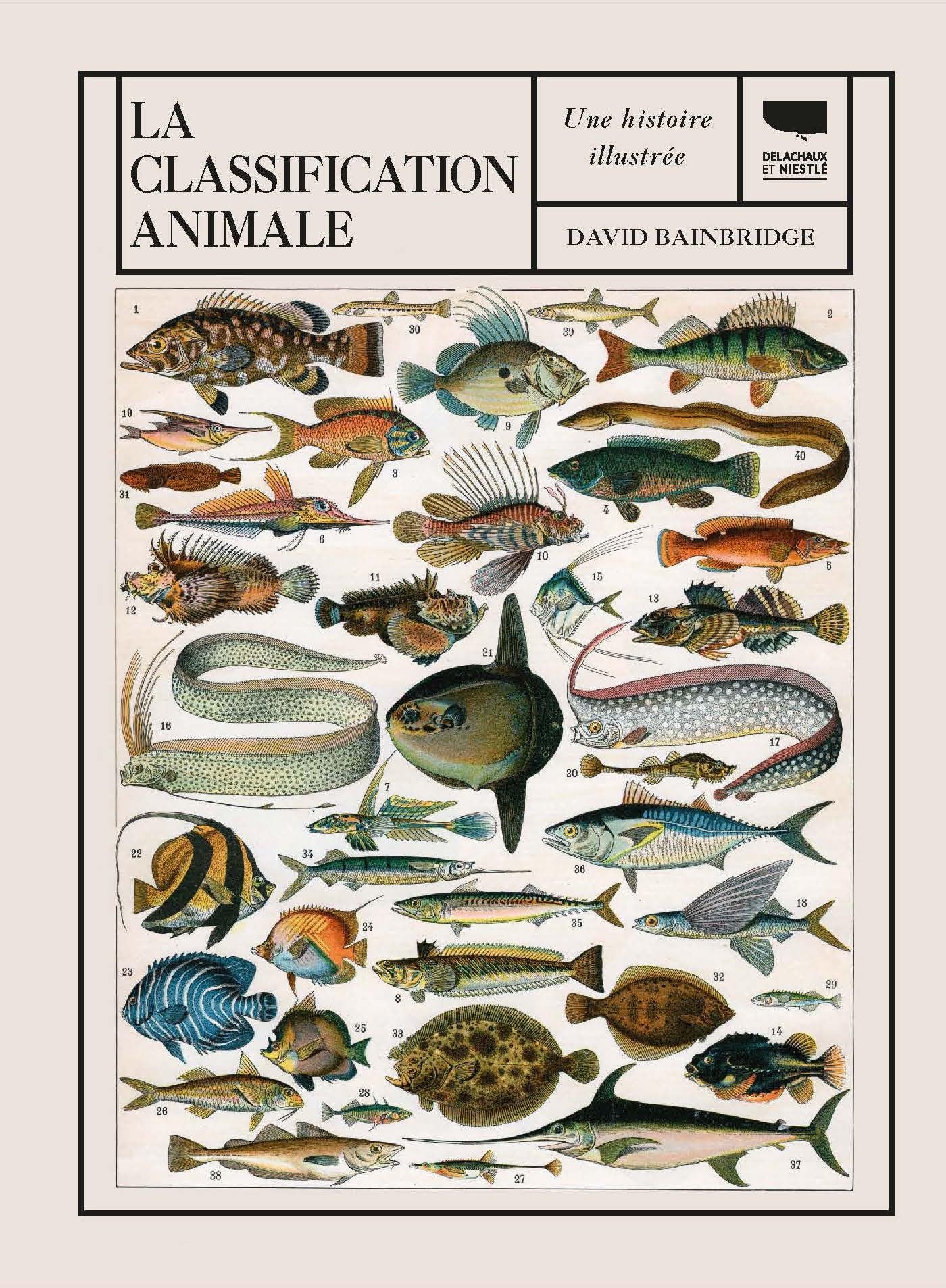 La classification animale: Une histoire illustrée