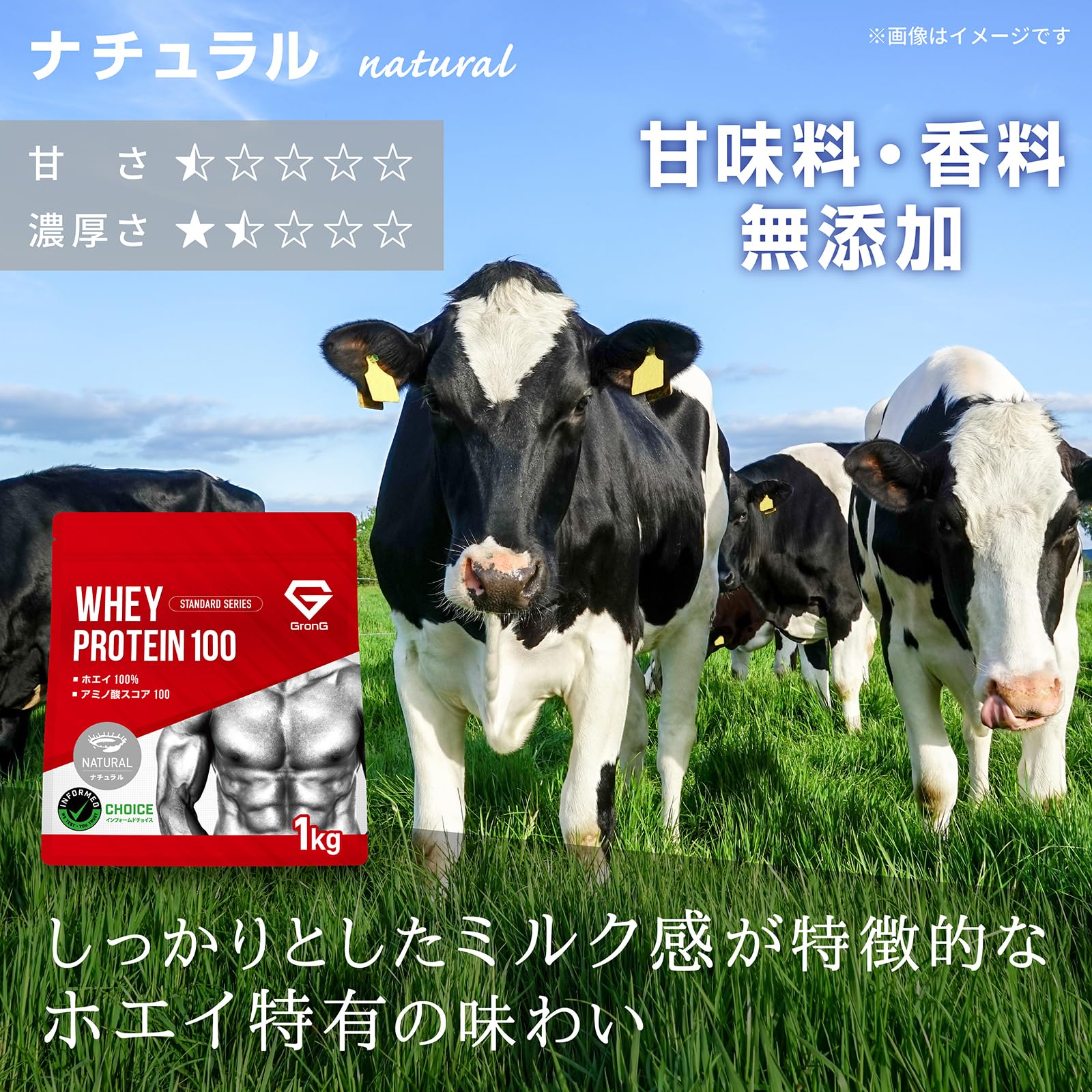 Amazon | グロング プロテイン ホエイプロテイン 3kg 人工甘味料不使用
