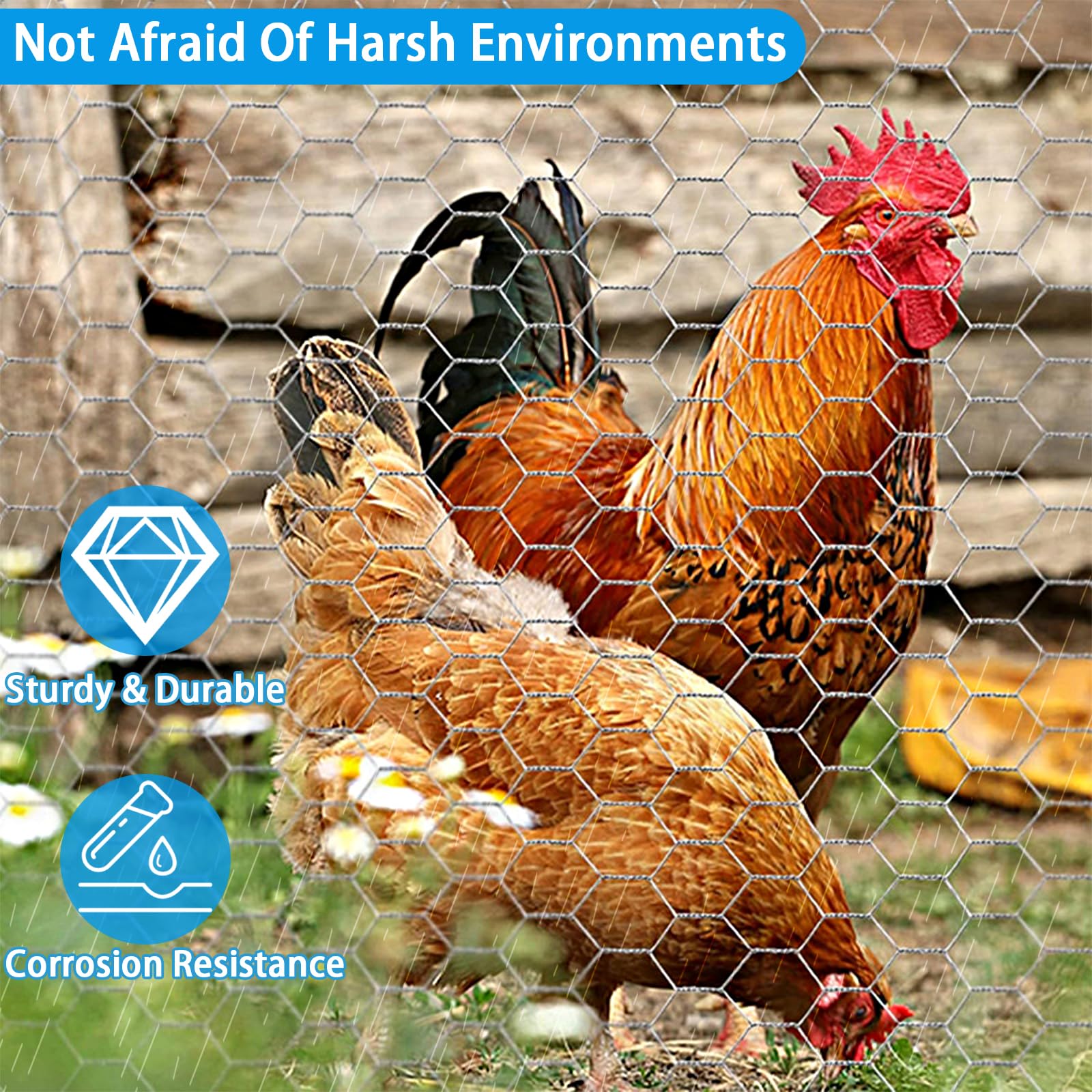 Rete Metallica Esagonale Zincata 1x10 Mt - Rete Protettiva Per - Foto 11