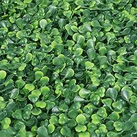 Vista 7 de Yaheetech 24 PCS 20"x 20" Artificial Boxwood Panels Topiary Hedge Plant, Privacy Hedge Screen UV Protected Greenery Wall, Decor Faux Grass Wall
