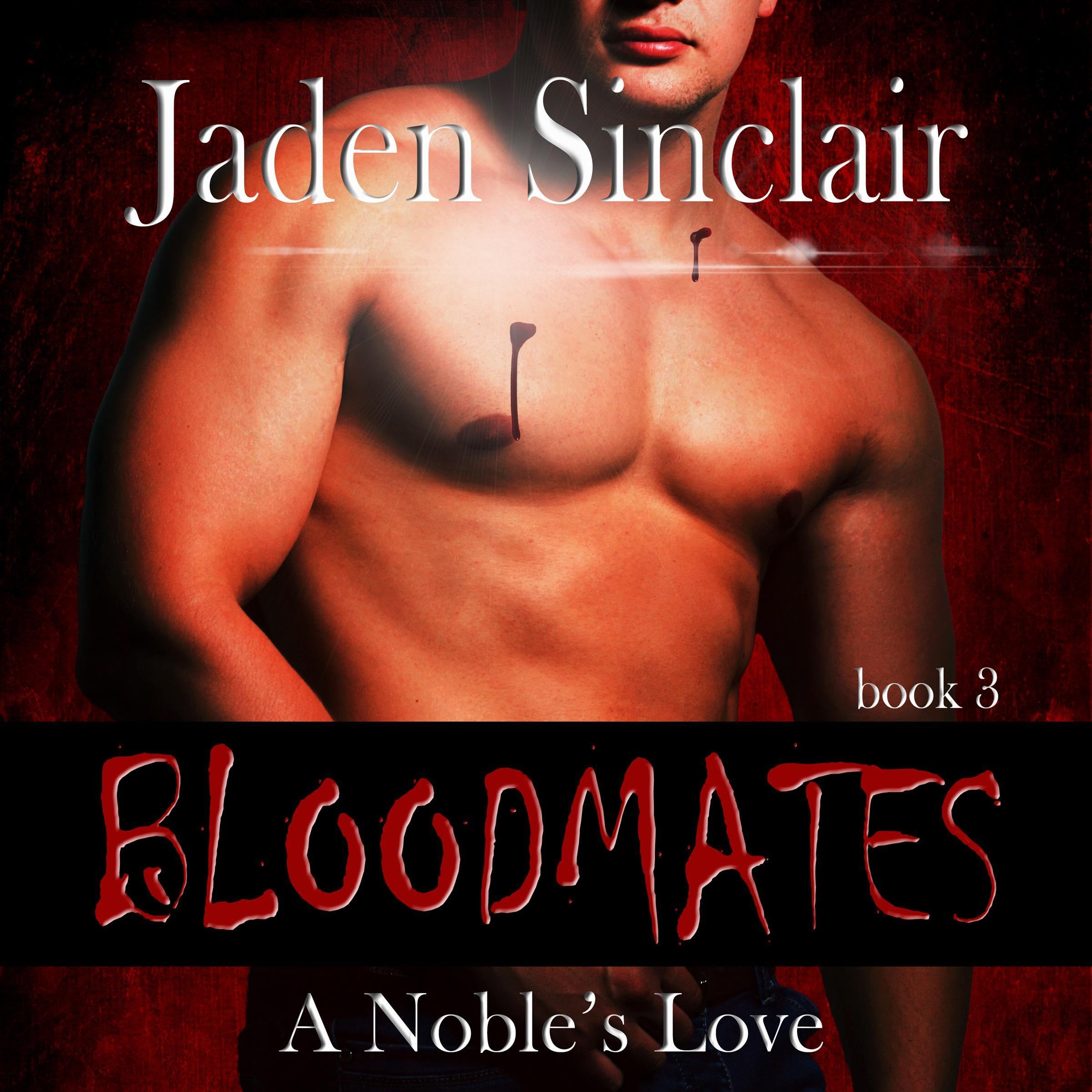Cover art for A Noble's Love