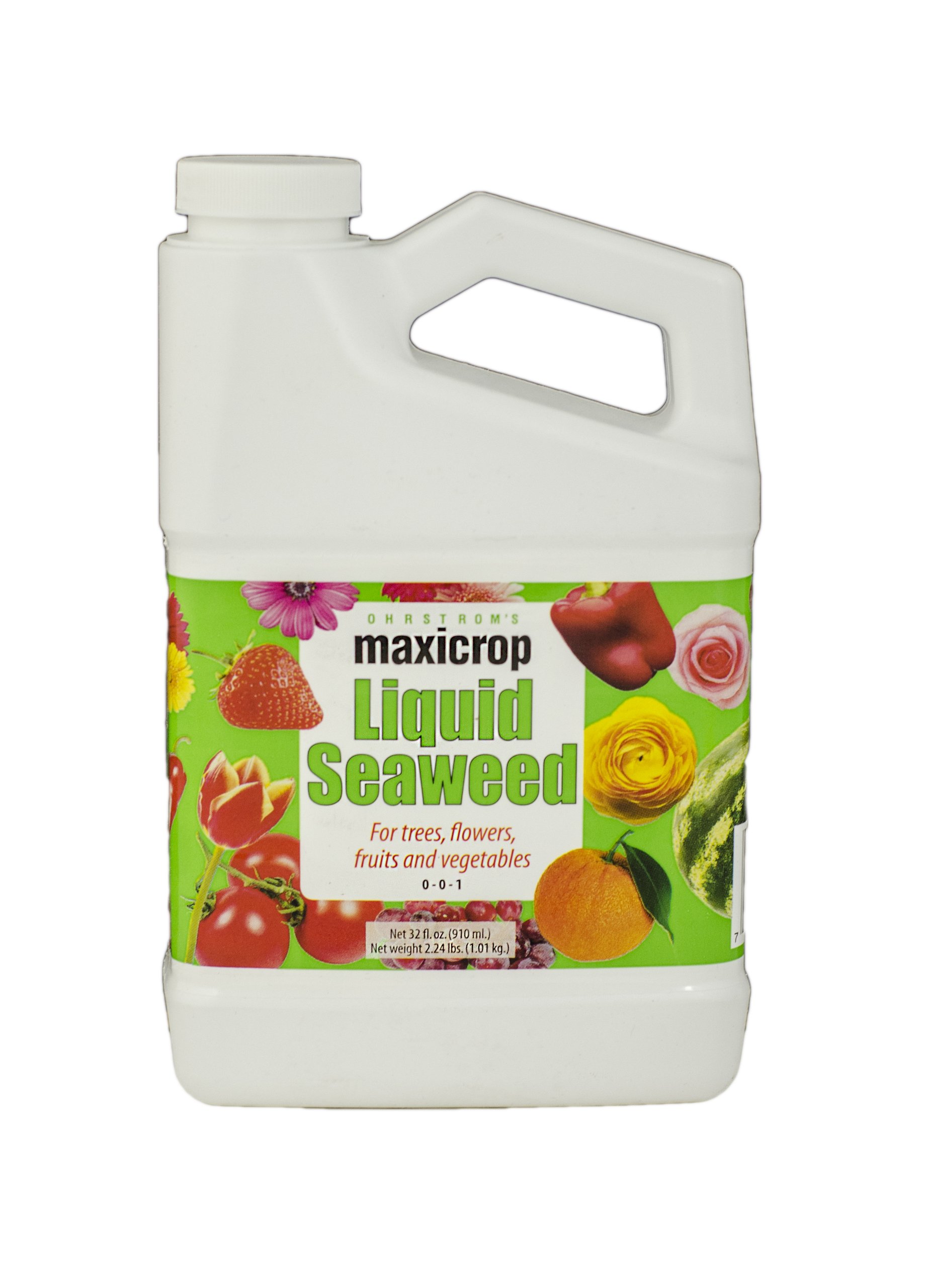 Maxicrop 1001 Liquid Seaweed Fertilizer, 1-Quart, 12-Pack