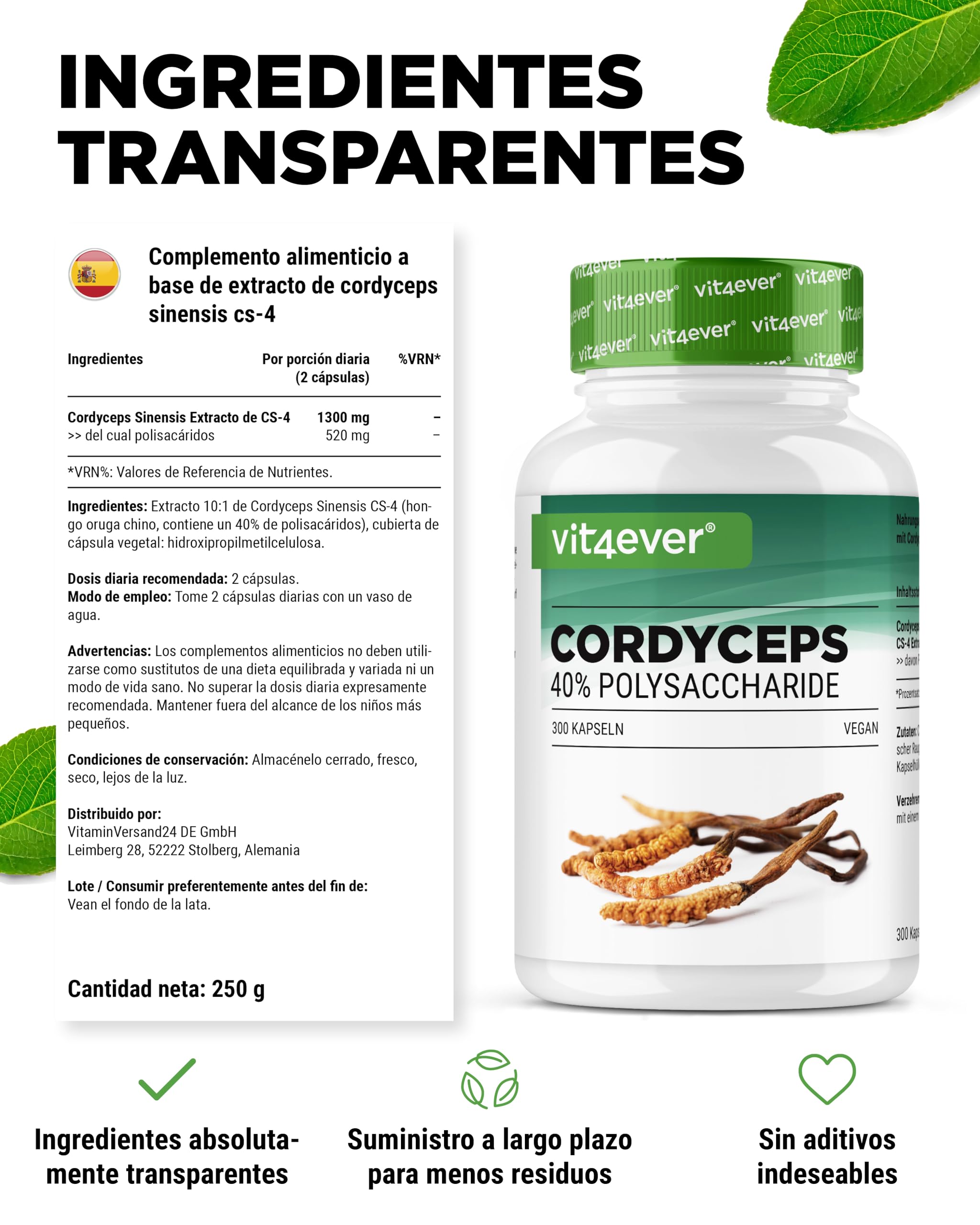 Cordyceps mushroom - 300 cápsulas con 650 mg de extracto real CS-4-40% polisacáridos bioactivos - alta dosis - hongo oruga - vegano