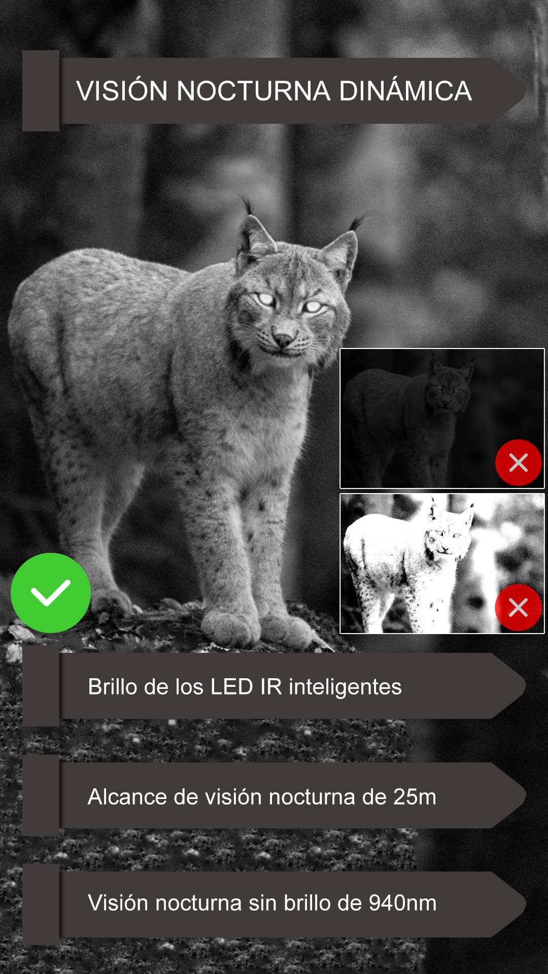 GardePro E6P Cámara de Caza, WiFi, Batería Recargable 8000mAh, 64MP 1296P H.264, Camara Fototrampeo con Visión Nocturna, Amplio Campo de Visión de 110°