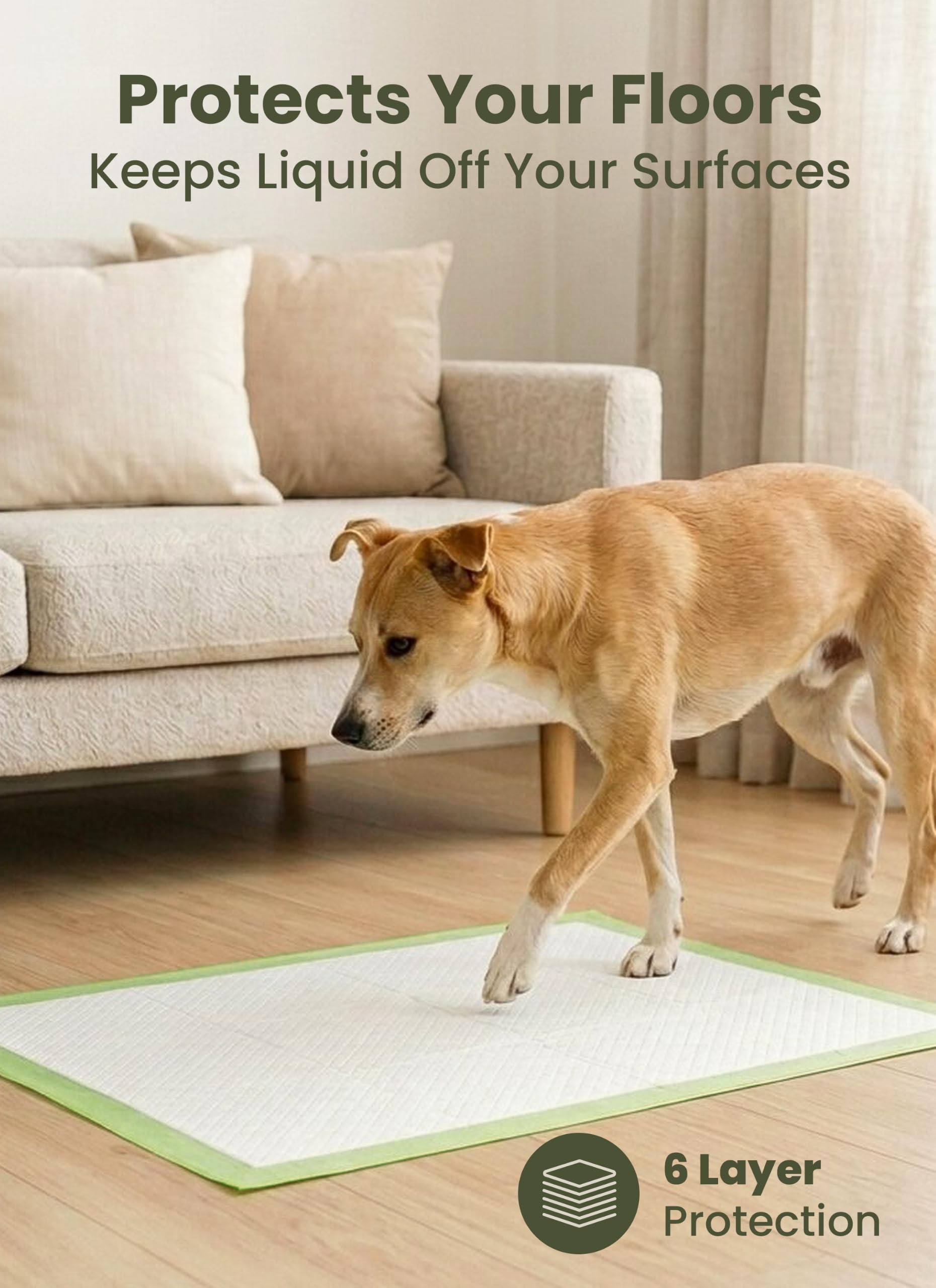 Pogi Trainingspads für Hunde – 60 × 90 cm, extra groß, umweltbewusst, für mittelgroße bis große Hunde – 40 Stück
