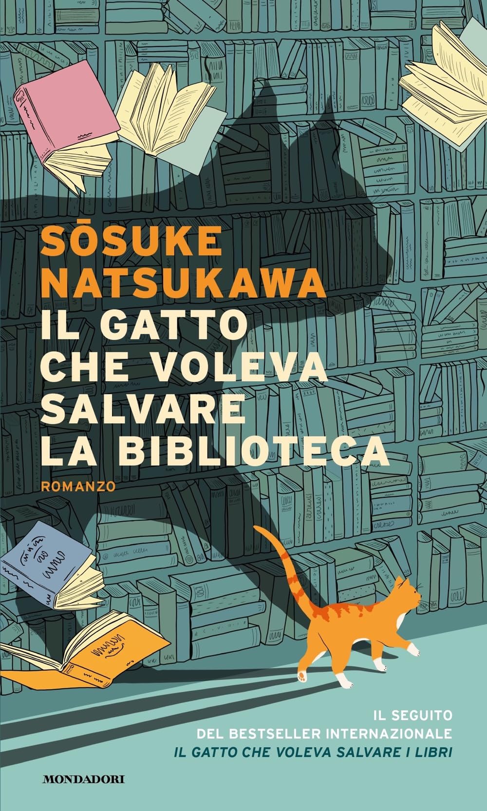 Il Gatto Che Voleva Salvare La Biblioteca - 4