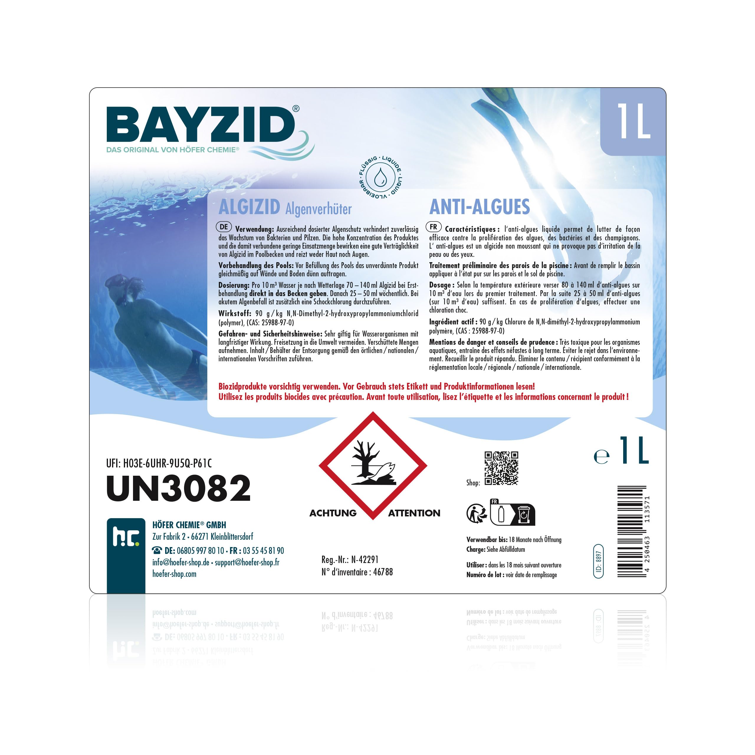 BAYZID® Algicide Anti Algue pour Piscine 6 x 1 L - Anti-Algues Non Moussant - Double Action Curative et Préventive - Efficace Contre Bactéries et Champignons