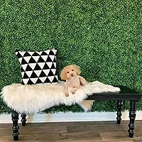 Vista 2 de Yaheetech Paneles de pared de césped, 12 piezas de 20 x 20 pulgadas, paneles de boj artificiales, planta de seto topiario, pantalla de cobertura