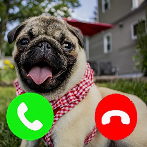 Pug Fake Call Prank ( Funny Pet Calling Prank ) - Gag fake Call from Pugs dog