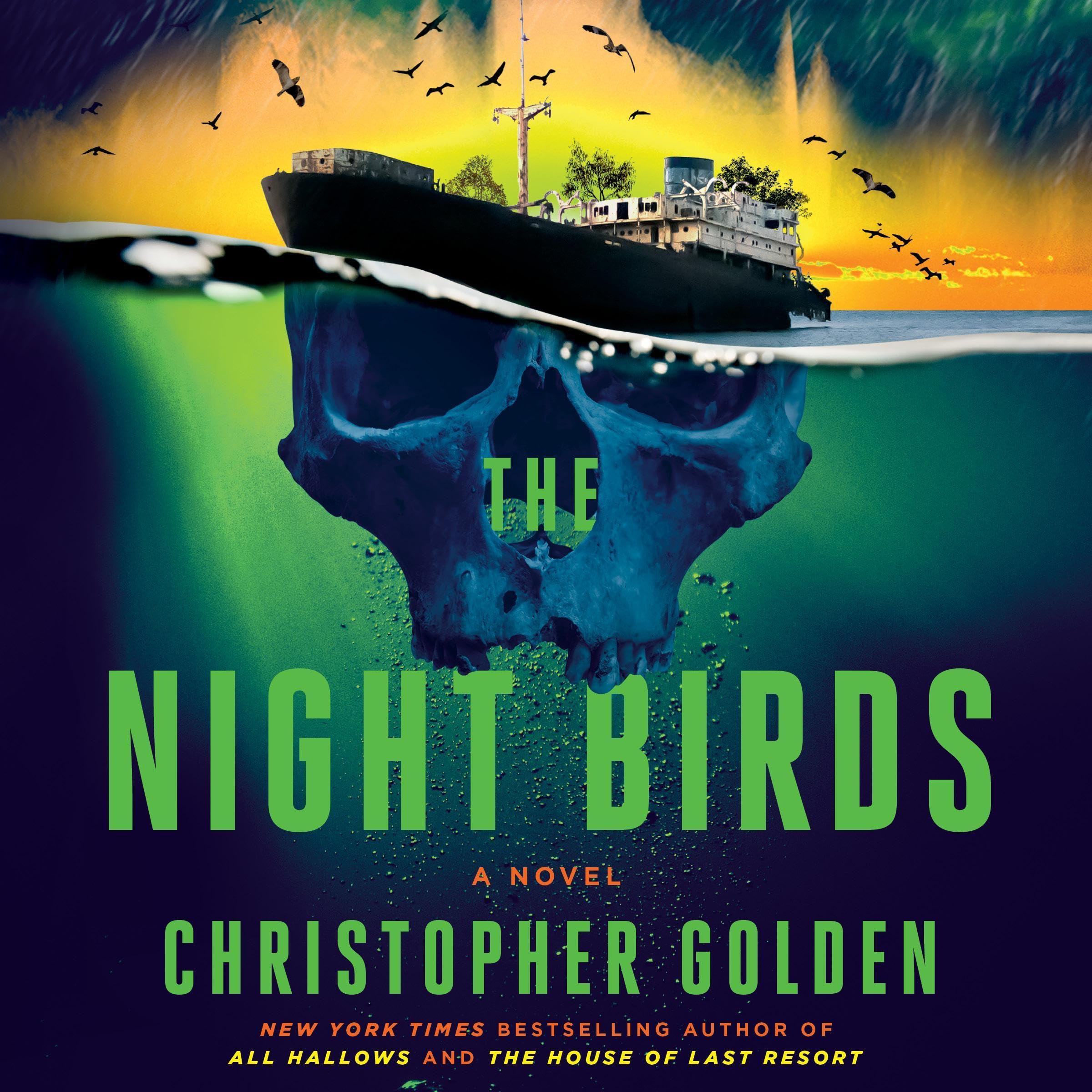 Cover art for The Night Birds