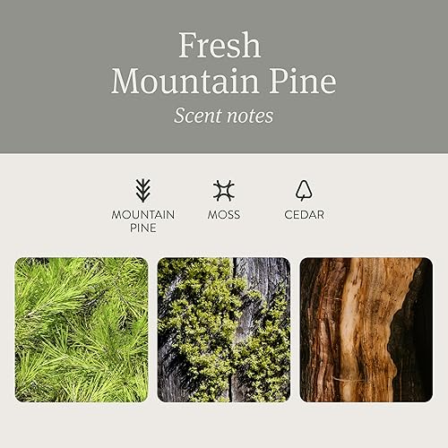 Miniatura 3 de Drift Ambientador de coche  Ambientador de piedra eliminador de olores de coche  Aroma de larga duración  Accesorios para automóviles  Clip de metal