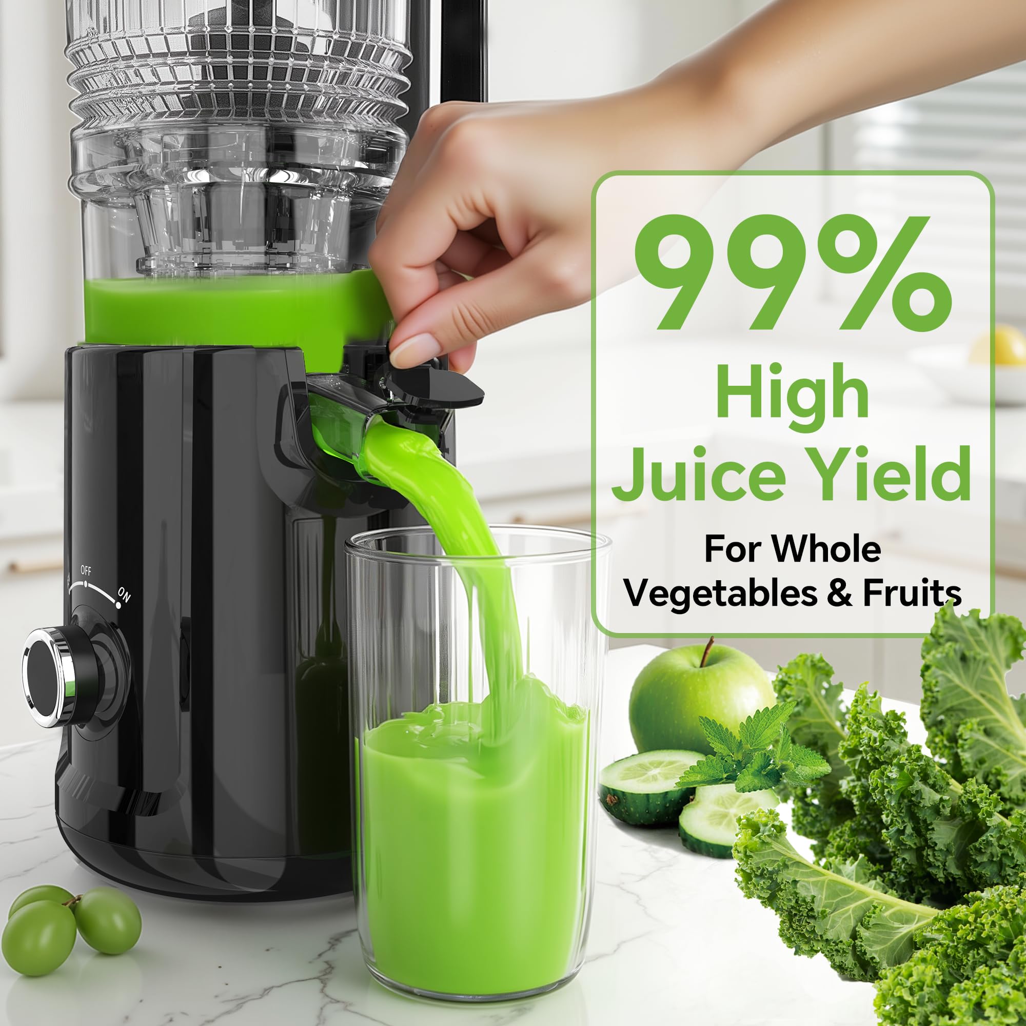 Cold Press Juicer - 5.3