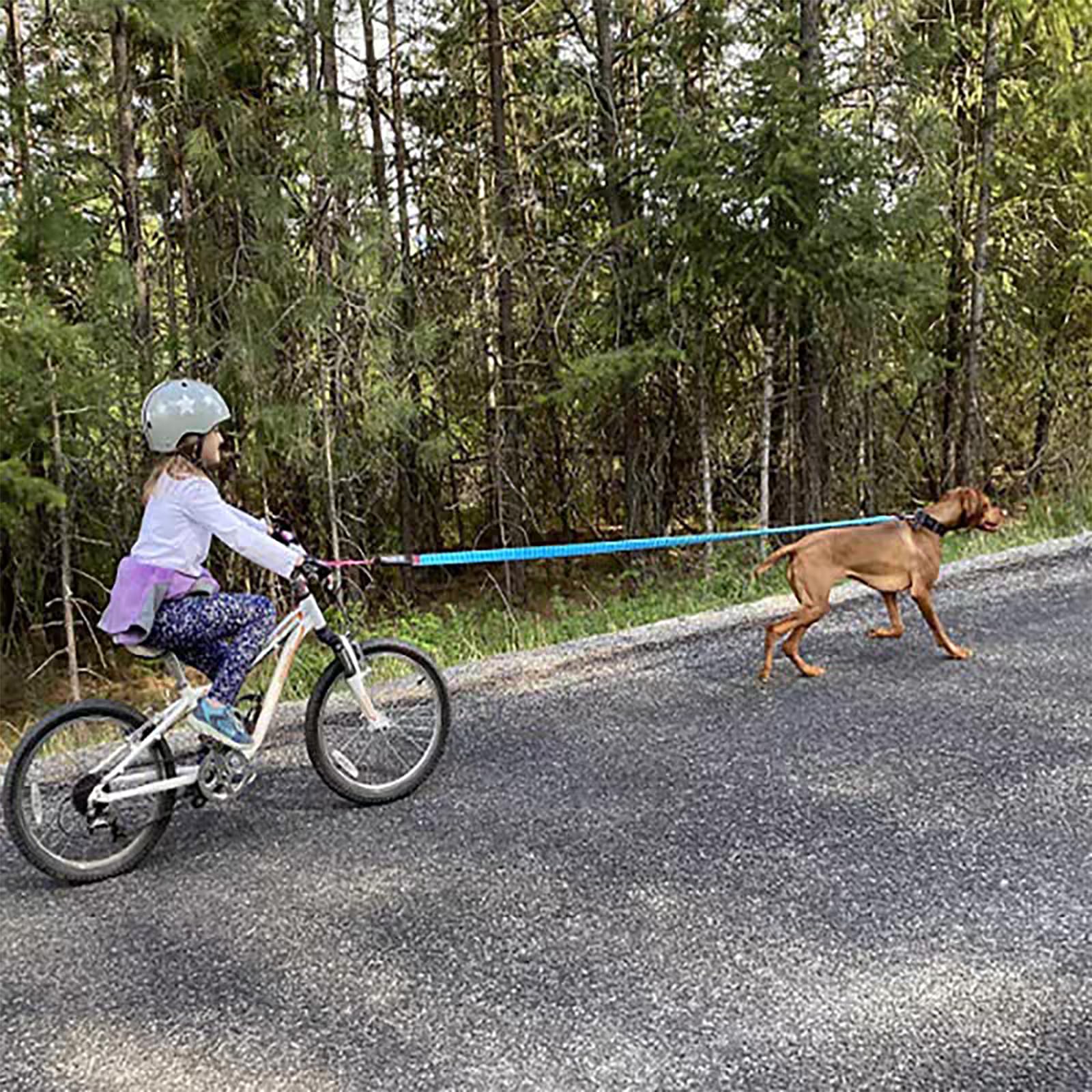 Elastyczna lina holownicza do roweru dziecięcego, 1,7 do 3 m, rozciągliwa, elastyczny pas holowniczy, nośność 227 kg, do rowerów dziecięcych, górskich, MTB, e-bike (niebieska)