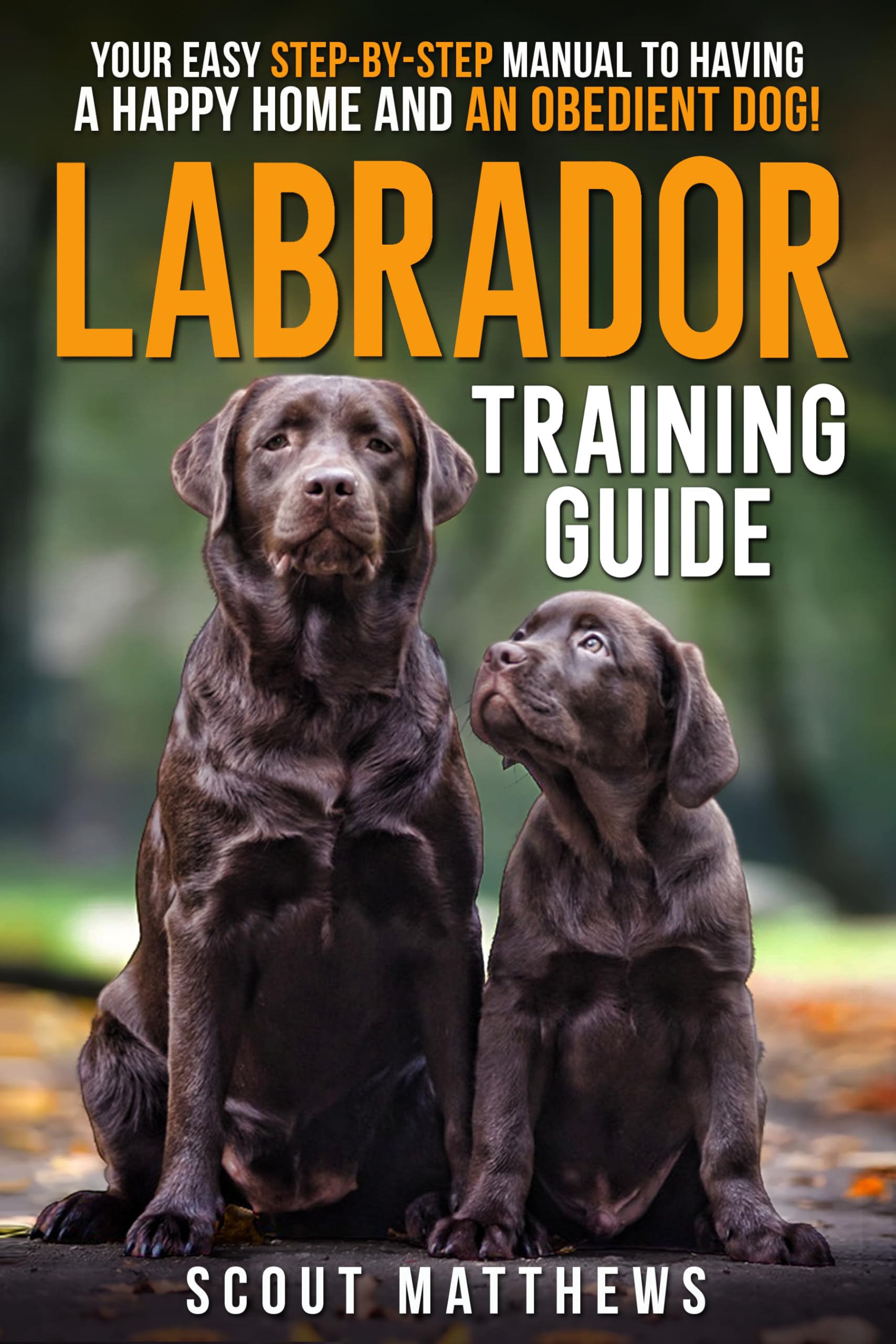 Labrador Training Guide