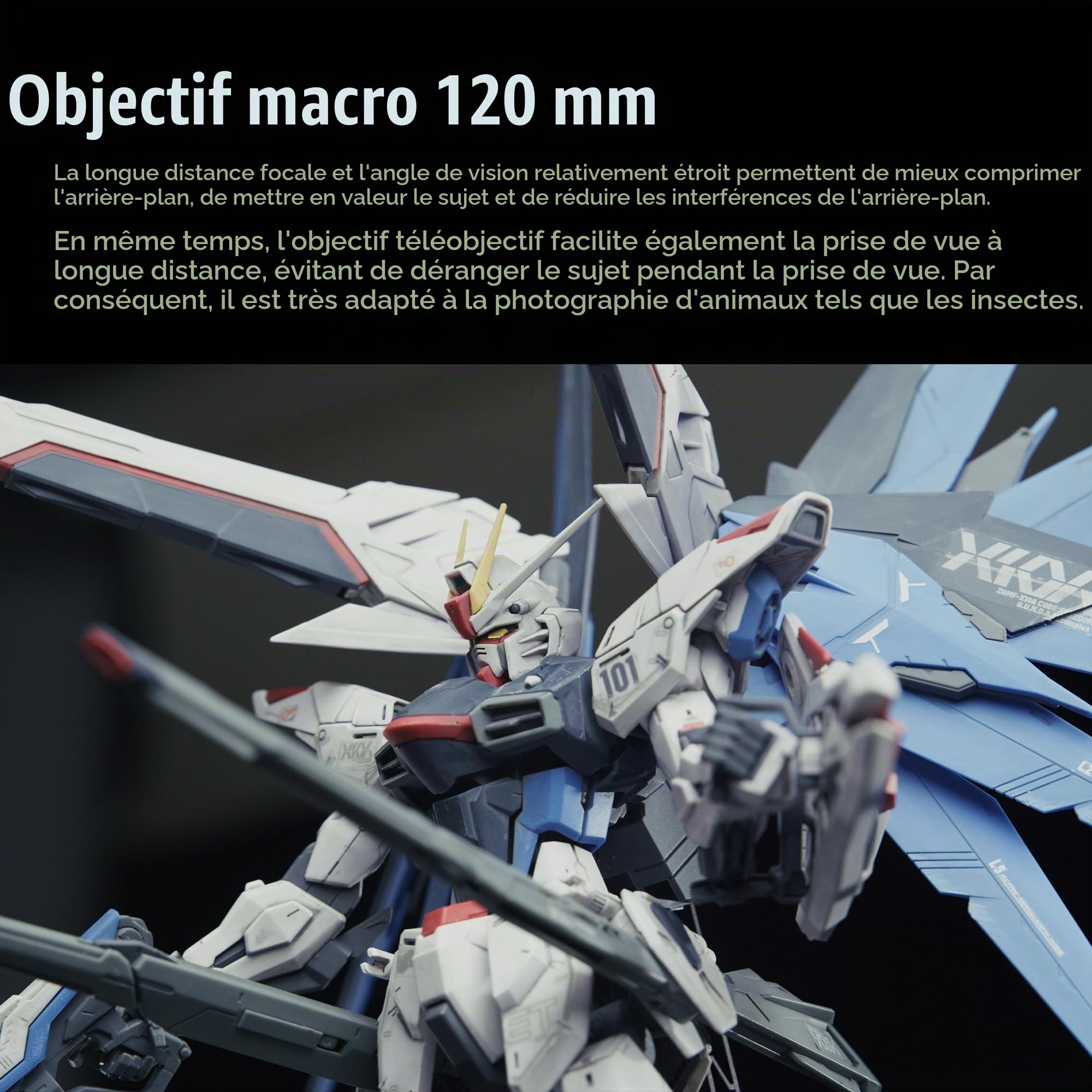 Objectif cinéma Macro 7artisans 120 mm T2.9 2X, Mise au Point Fixe Manuelle, Compatible avec la Monture Canon EOS-R, série EOS R, R1, R3, R52, R62, R6, R10, R50