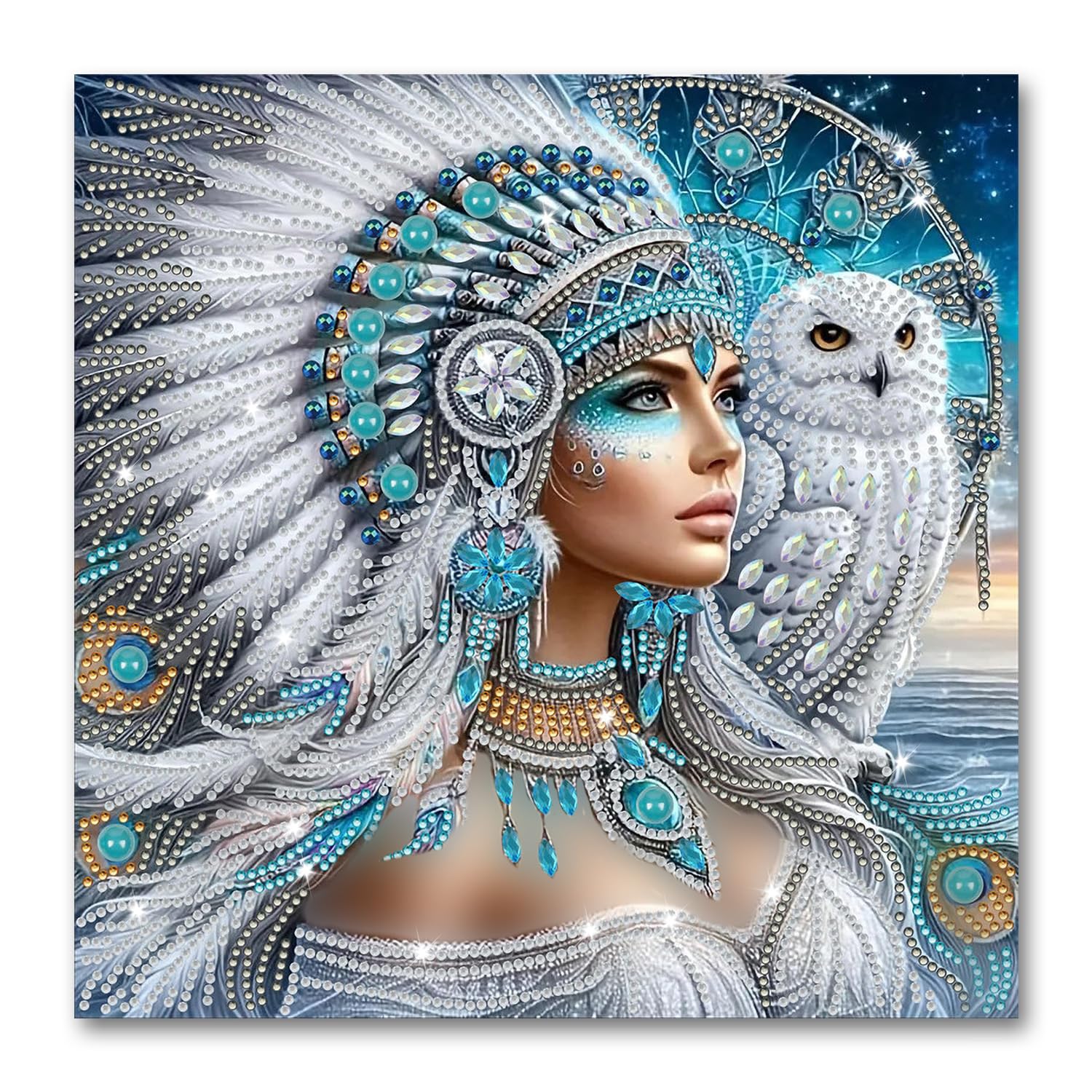 5D Irregularly Shaped Rhinestone Owl Diamond Art Painting Set, Diamond Art Kits Adults with Elegant Woman and Owl Design, DiamondArt Kit DIY Craft, Gem Artfor Living Room Bedroom Office Decor