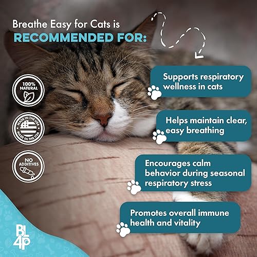 Miniatura 4 de Suplemento de comodidad respiratoria para gatos, soporte felino natural fácil para todas las estaciones, tos, congestión nasal ocasional y
