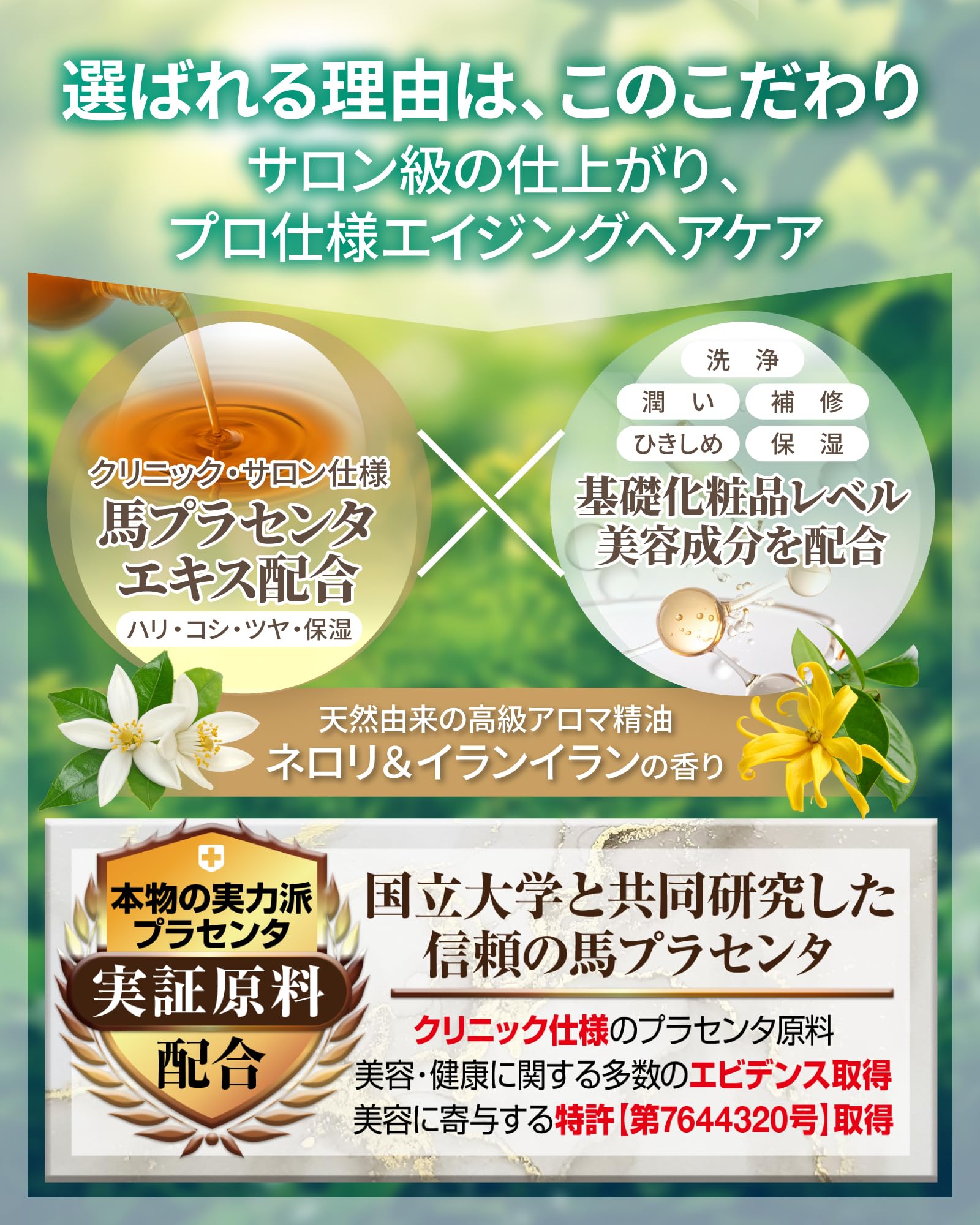 Amazon | ウマプラセンタグロー シャンプー (詰め替え用) 馬プラセンタ