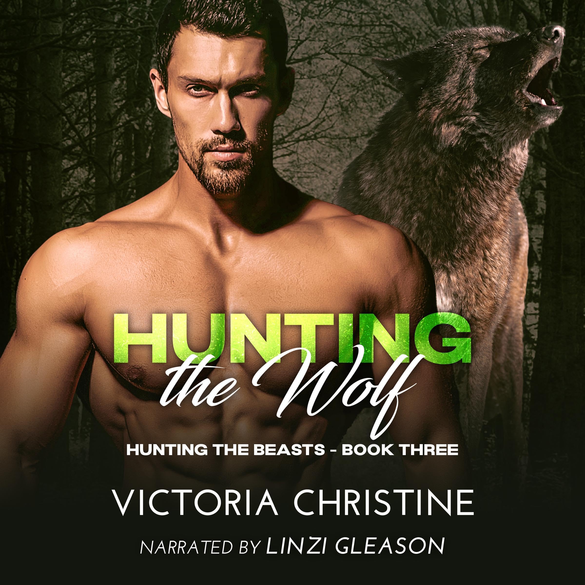 Cover art for Hunting the Wolf