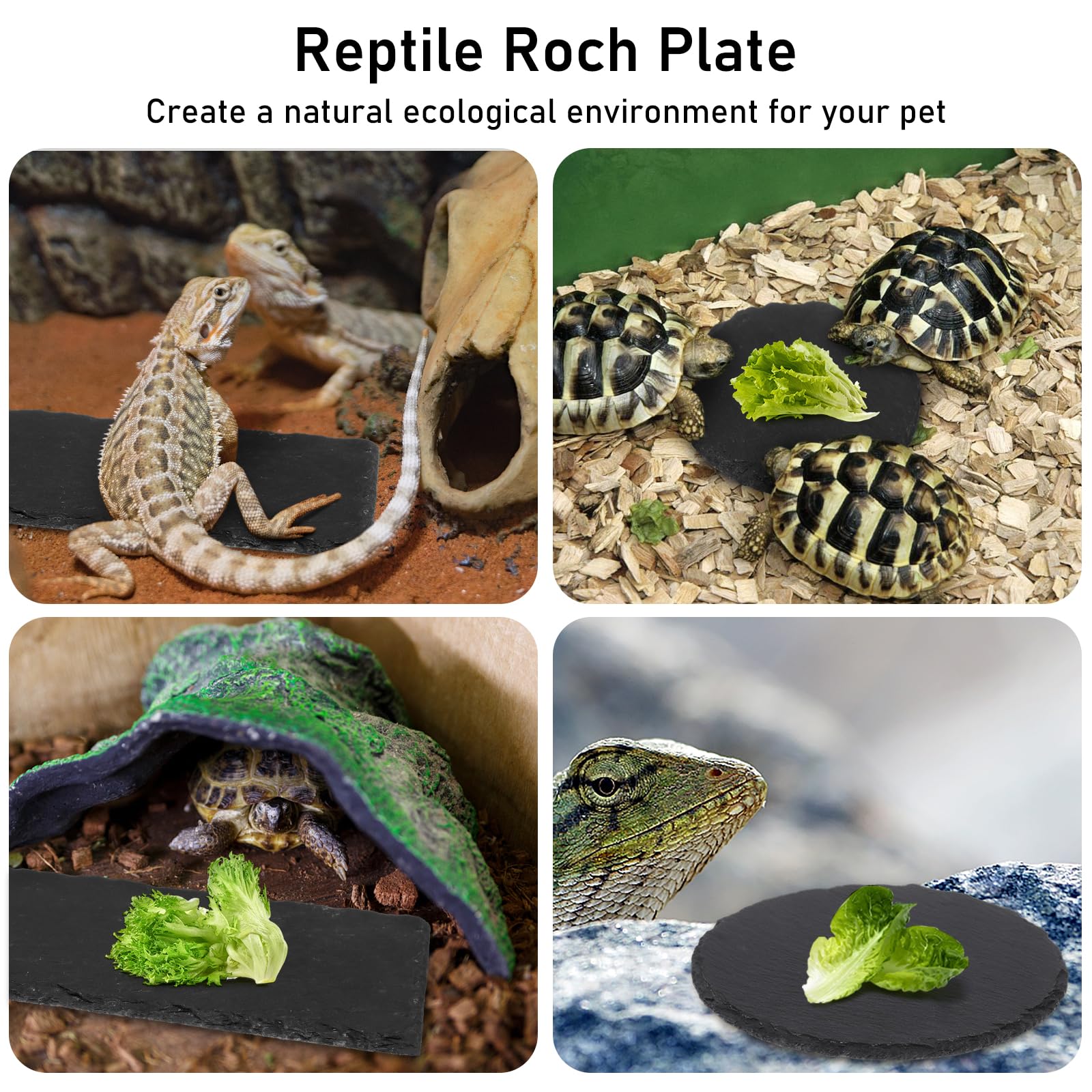 Lot de 3 plates-formes pour tortue et tortue - Plateforme en ardoise pour reptile - Plateforme de repos en roche naturelle - Plateforme de repos pour tortue, lézard, dragon barbu, gecko, serpent