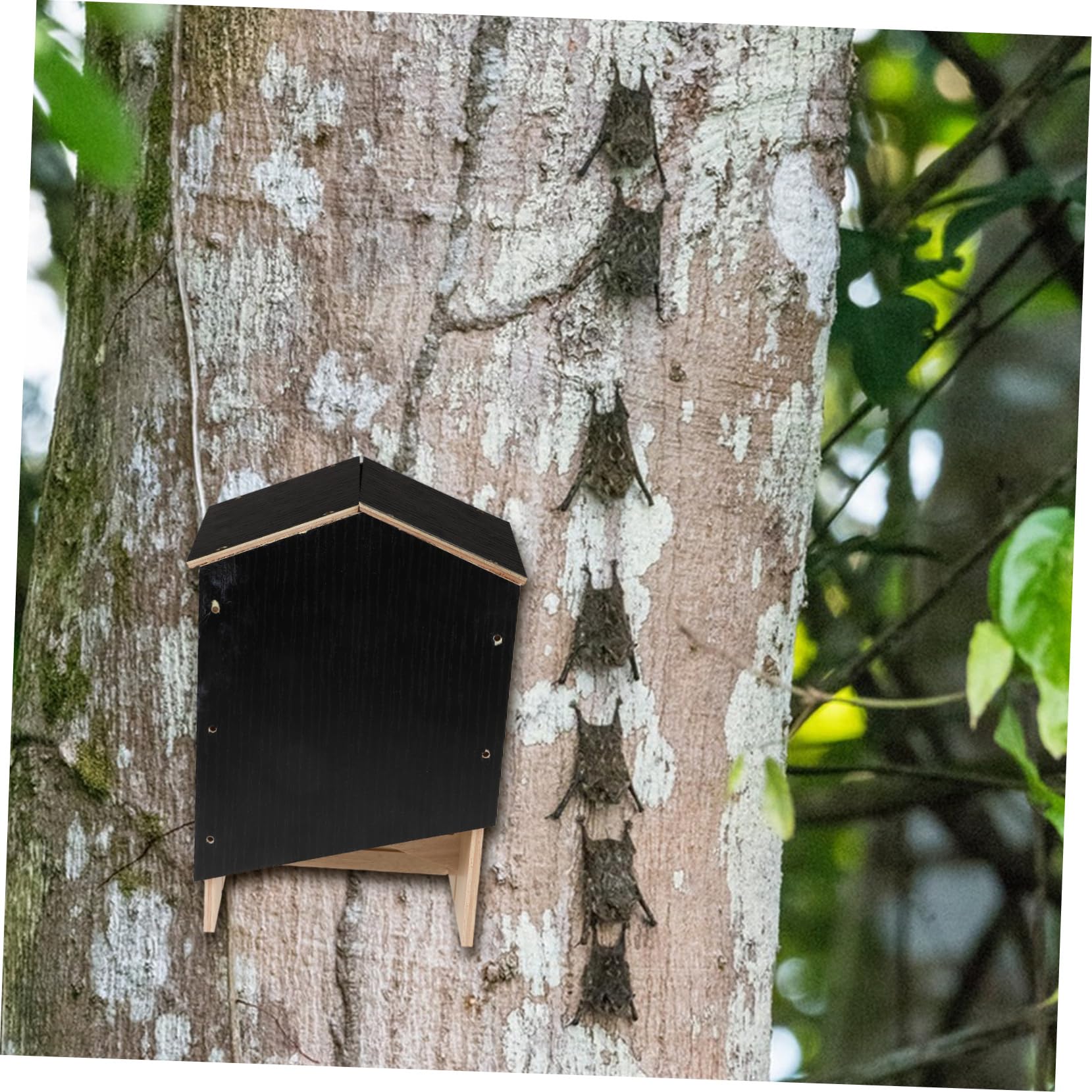 Fledermaushaus Für Außenbereich Doppelkammer Fledermausbox Wetterfest Für Garten Und Hinterhof Handgefertigter Unterschlupf Für Fledermäuse Installieren Pflegen