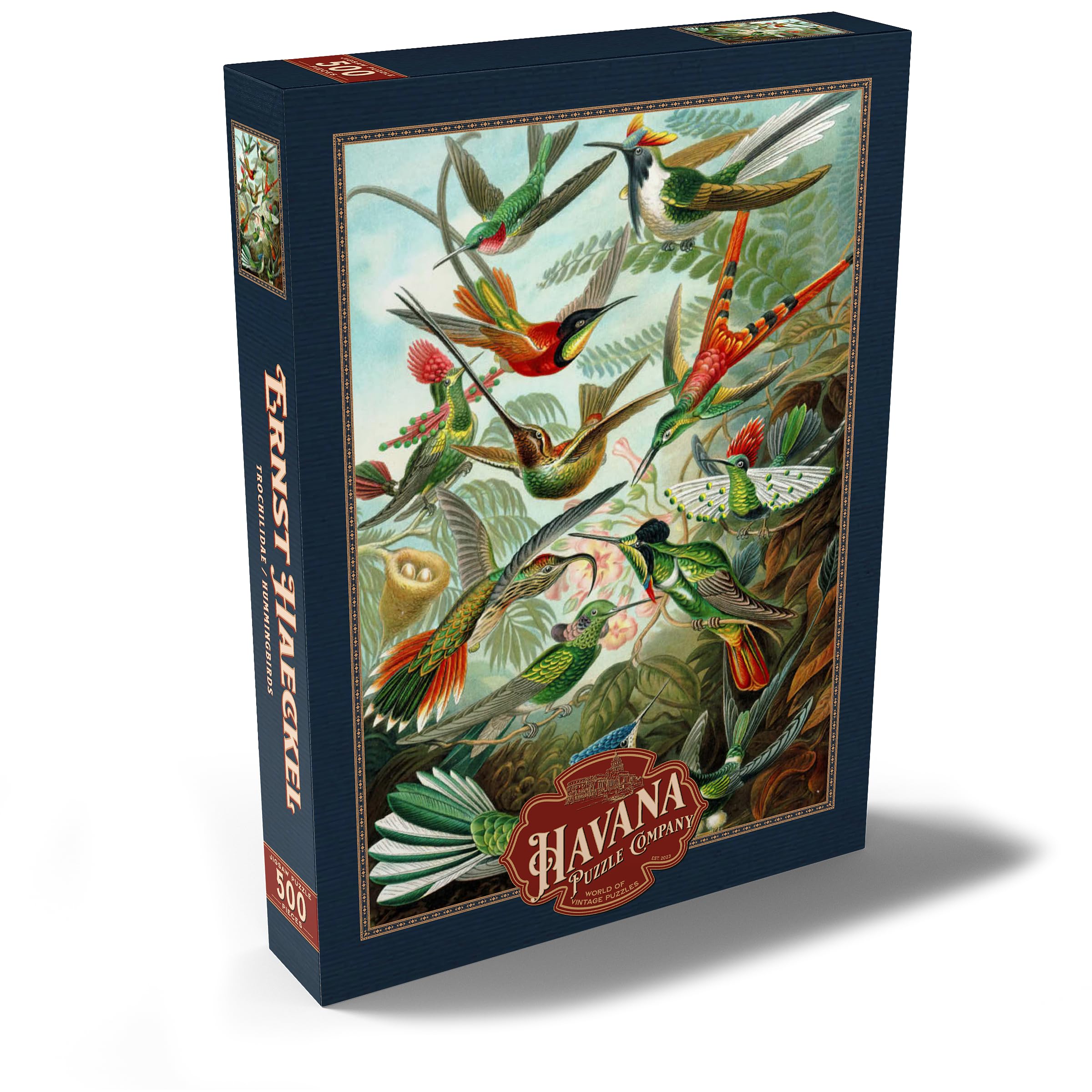 Hummingbirds And Trochilidae (Hummingbirds), Vintage Art Poster, Ernst Haeckel, Premium 500 pieces Puzzle - Image 2