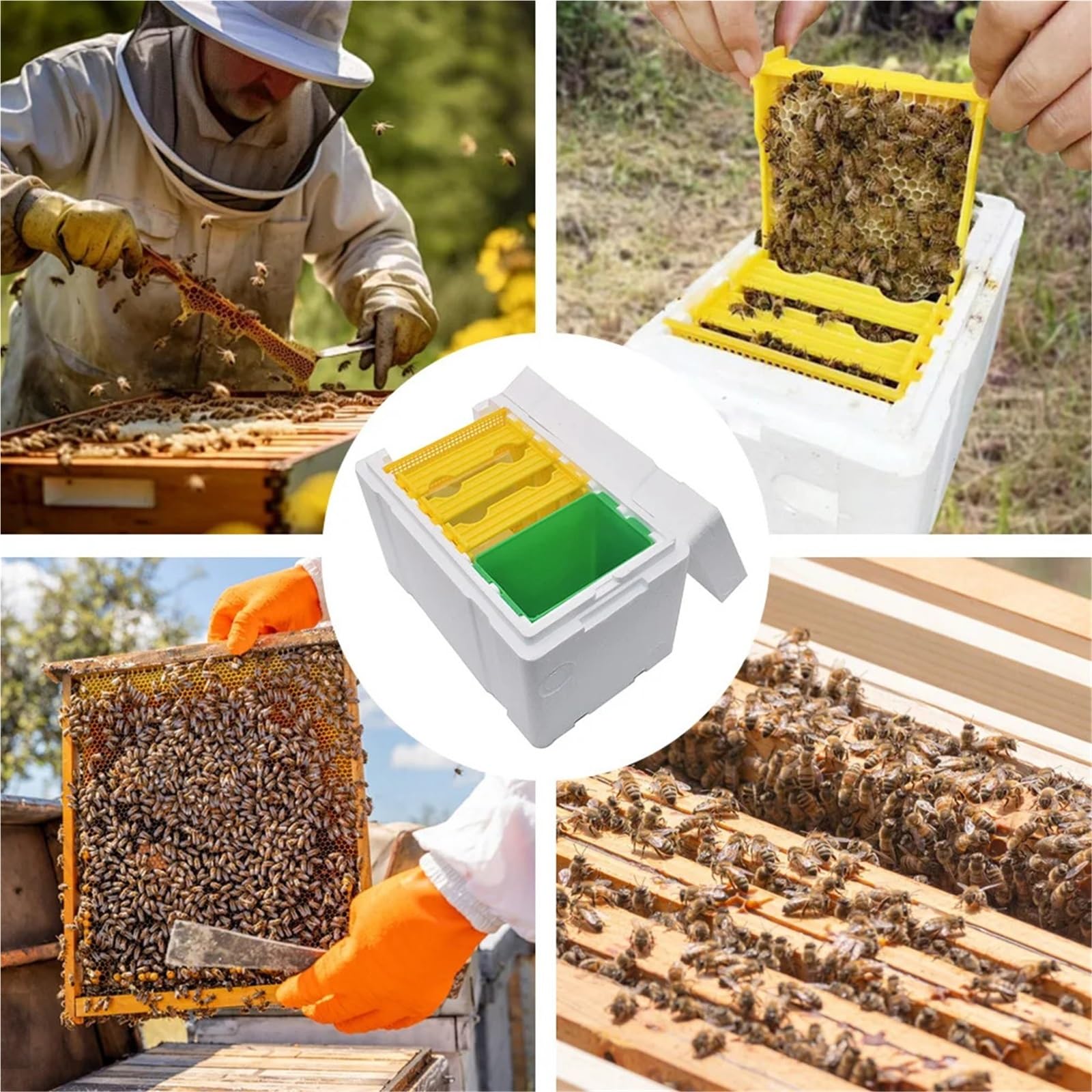 Boîte à abeilles en mousse, boîte polyvalente for l'élevage de reines, boîte d'accouplement for abeilles, élevage de reines, ruche for apiculteurs