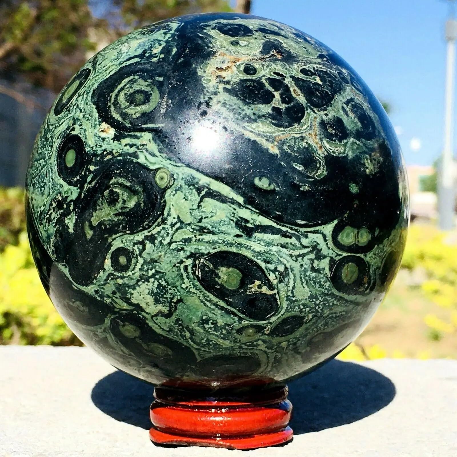 Zahary Kamenov　ザハリ・カメノフ Amazon.com: KatLin Natural Eye Green Kambaba Jasper Stromatolite