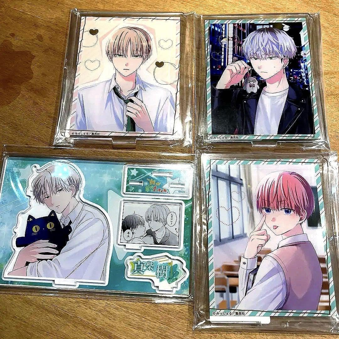 Amazon.co.jp: 誰か夢だと言ってくれ 朝日奈雨竜 真柴樹 真柴晴人