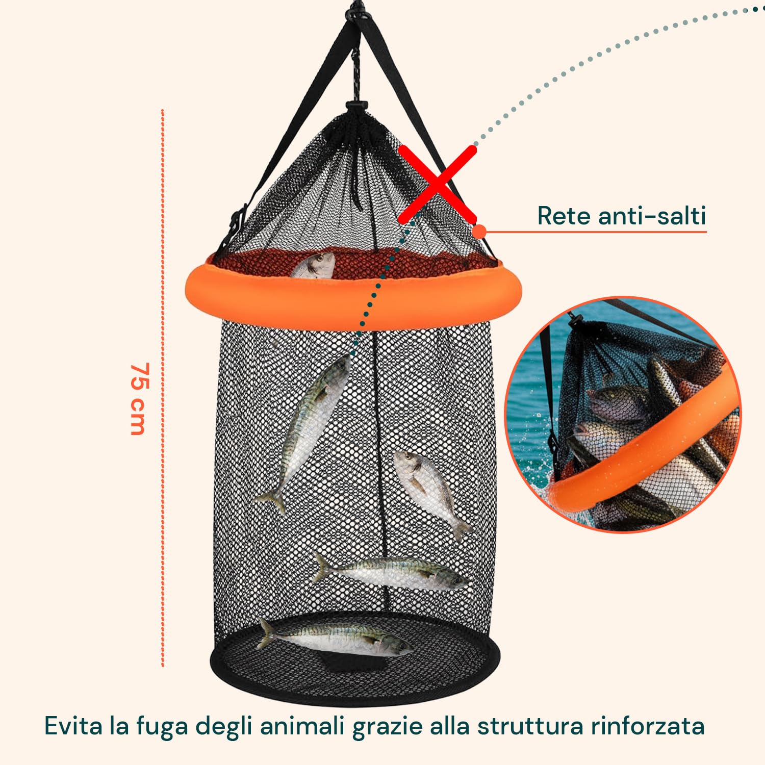 Avilia – Rete da Pesca Portatile Profonda 75 cm - PP Resistente per Pesca Sportiva e Ricreativa, Facile da Utilizzare e Trasportare con Cassa Inclusa, Ideale per Pesca in Mare e Acqua Dolce
