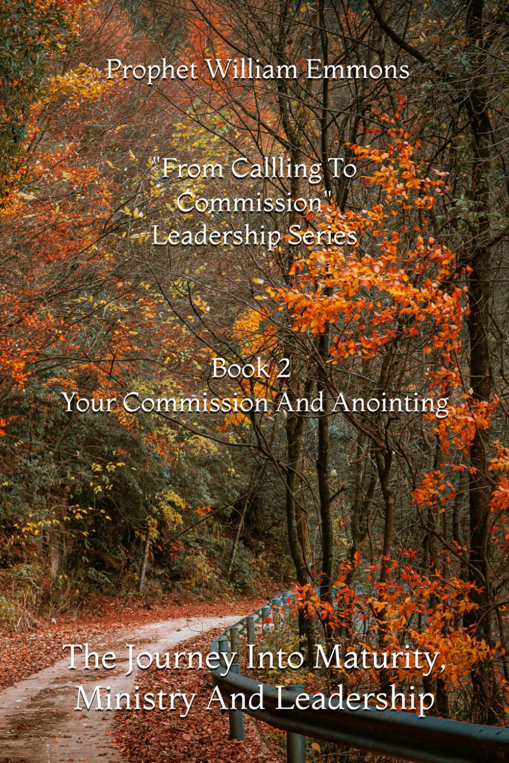 From Calling To Commission - Book 2: Your Commission And Anointing (From Calling To Commission - Leadership Series)