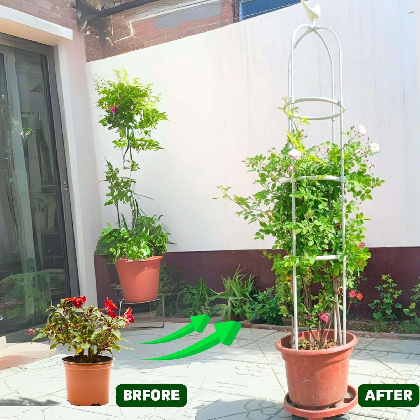 Obelisco de Jardín para Plantas Trepadoras, Enrejado Metálico 85 115 125 145 175 205cm Soporte Resistente a la Intemperie Para Plantas, Obelisco para Clemátide Glicina(Black,32 x 175cm/12.6 x 68.9in)