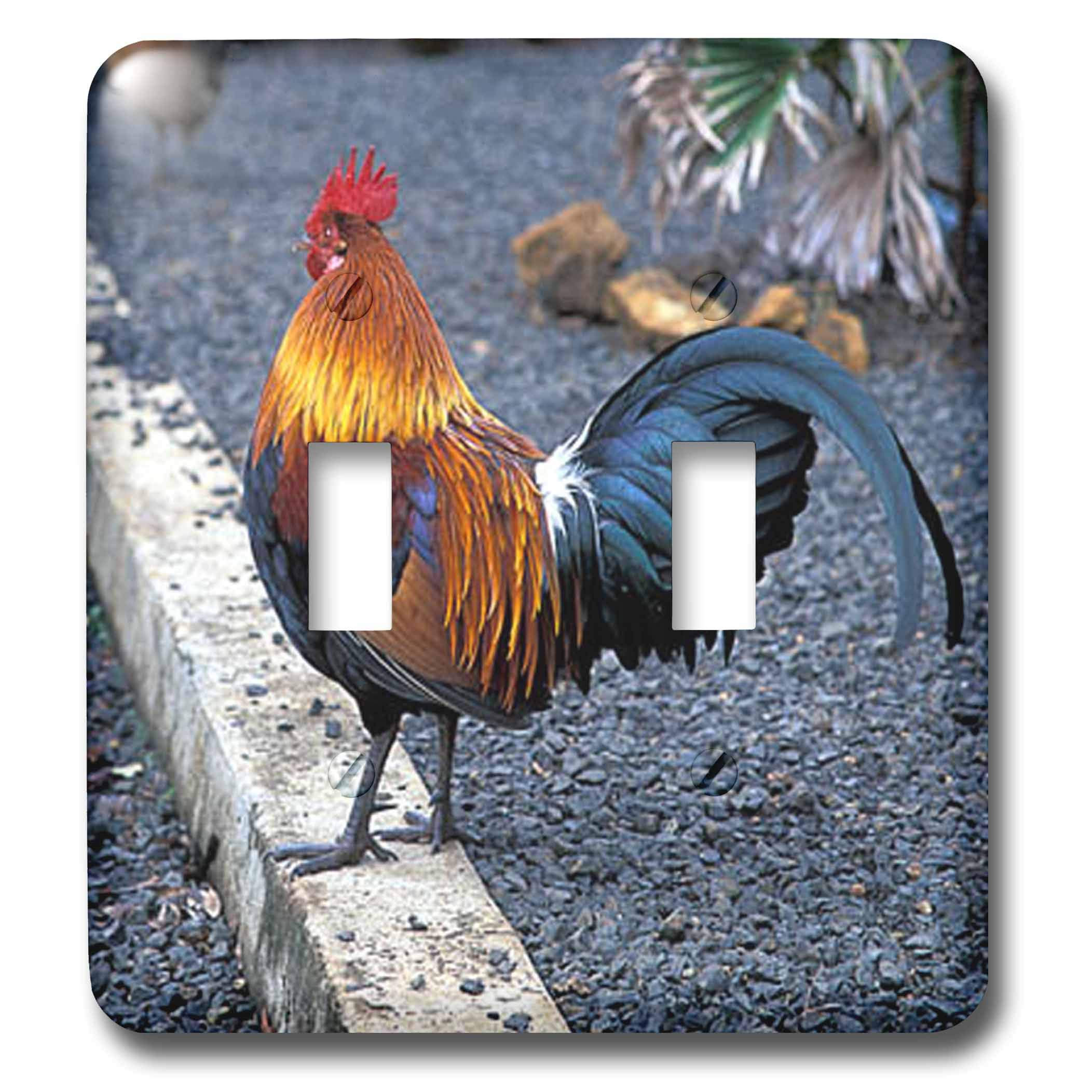 Double interrupteur à bascule motif coq pour illuminer une cuisine de campagne rustique