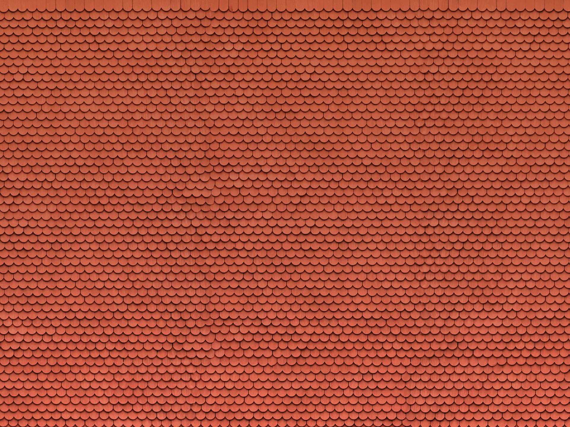 3D cardboard sheet “beaver tail”