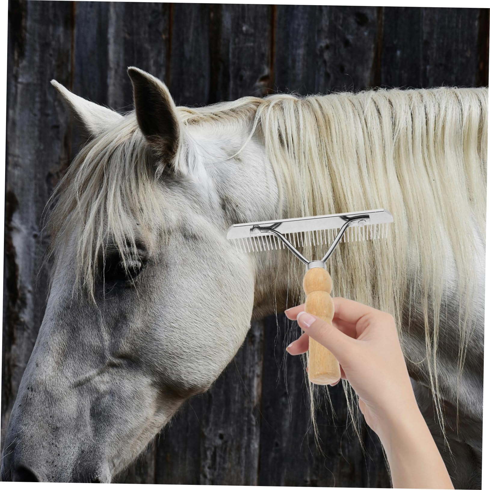 Kisangel 4 Piezas De Peine De Limpieza De Pelo De Caballo Cepillo De Limpieza Accesorio De Limpieza Diseño Sin Diseño