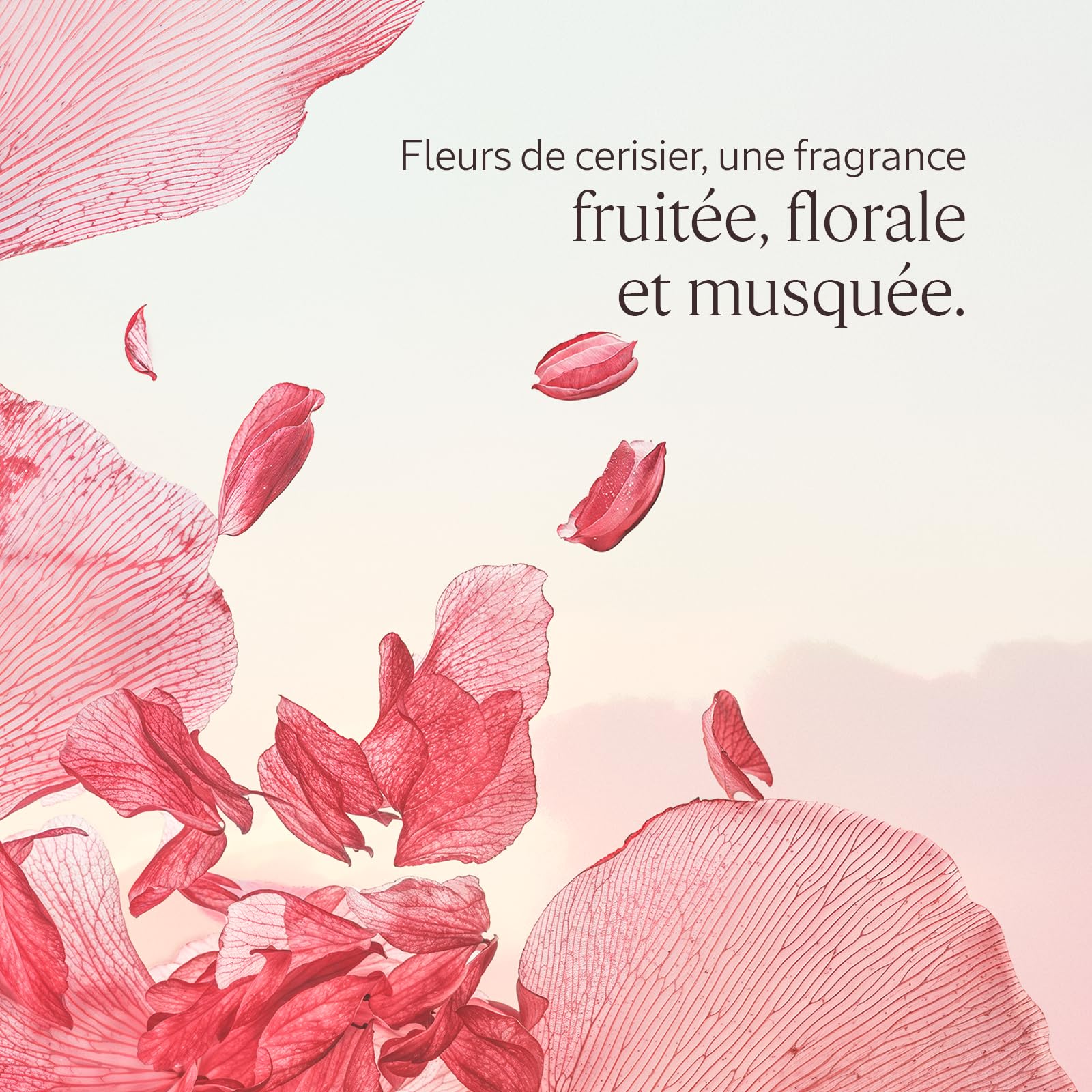 L'OCCITANE - Eau de Toilette Fleurs de Cerisier - 50 ml | Notes fruitées, florales et musquées - Accords de Cerise, Fleurs de Cerisier et Musc - Fabriqué en France