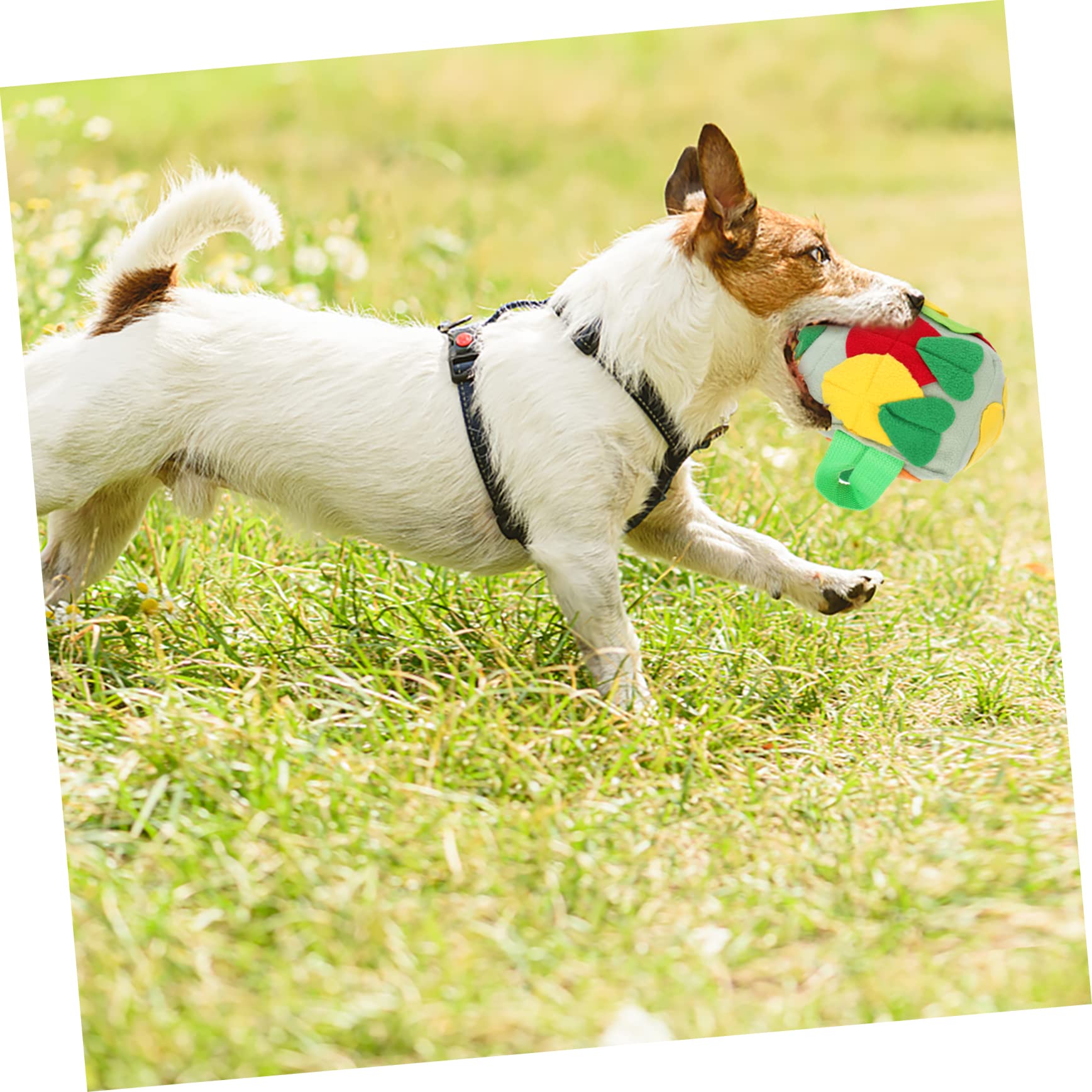 Housoutil 3pezzi Palla Per Cani Snuffle Giocattolo Per Foraging e Addestramento Mat Per Sniffing Con Dispersione Di Cibo Stimola Attività Fisica e Mentale Fresh