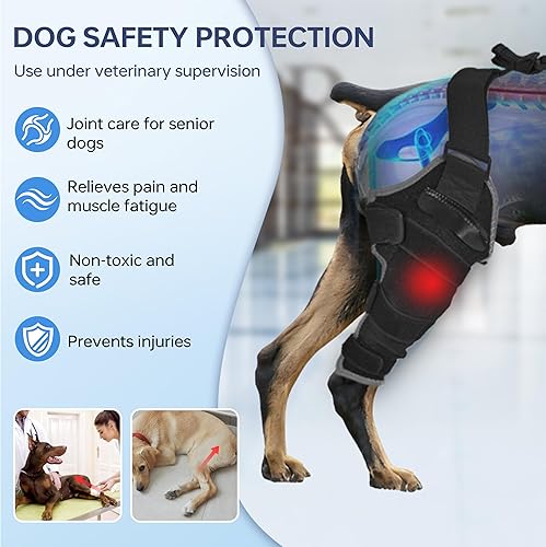 Miniatura 2 de Rodillera para perro para pierna trasera, ajustable, transpirable, con paquetes de gel caliente y frío, soporta perros grandes y medianos con pierna