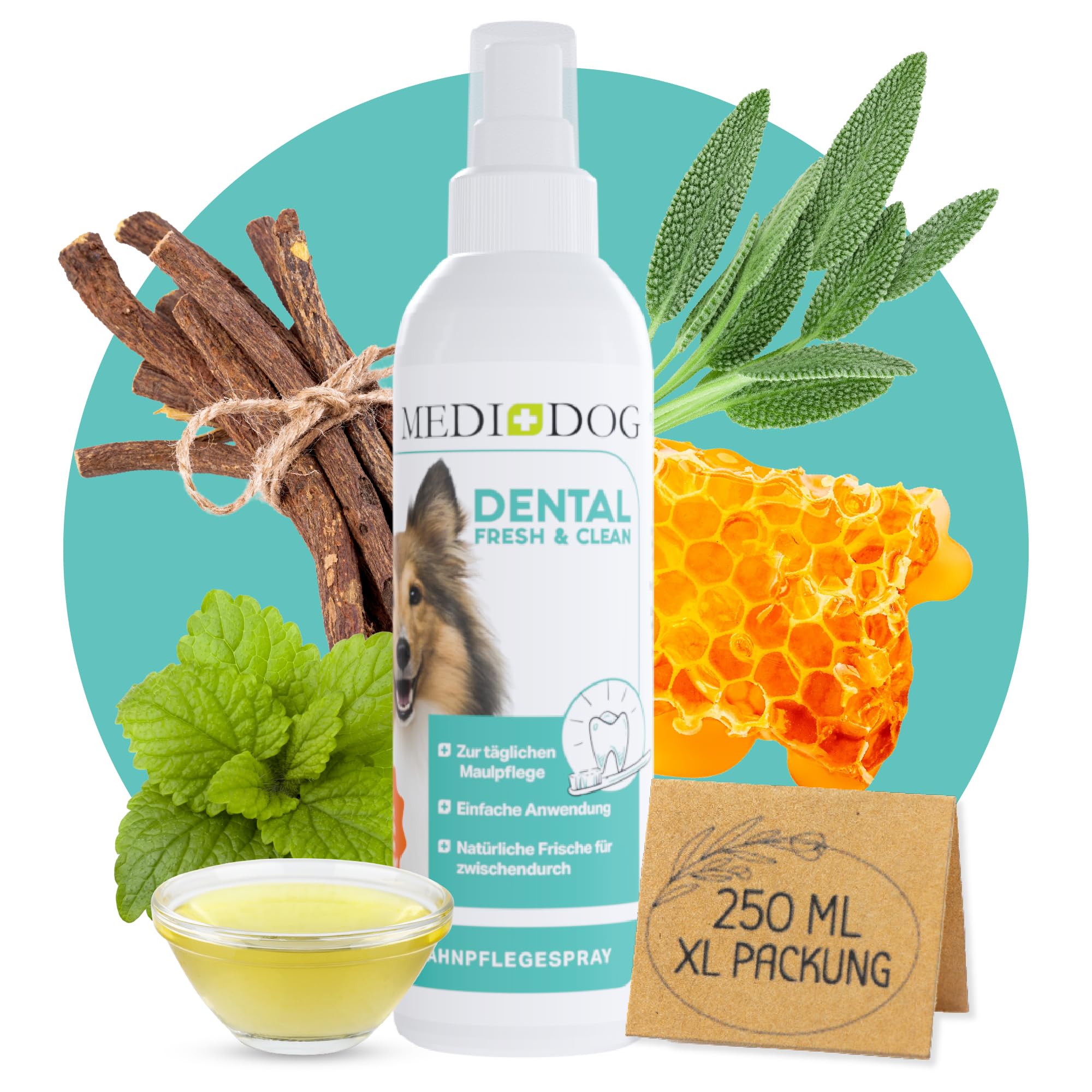 MEDIDOG Dental Fresh & Clean Dentalspray – Neue REZEPTUR - XL Packung 250ml – Zahnpflege für Hunde – Zahnsteinvorbeugung – frischer Atem